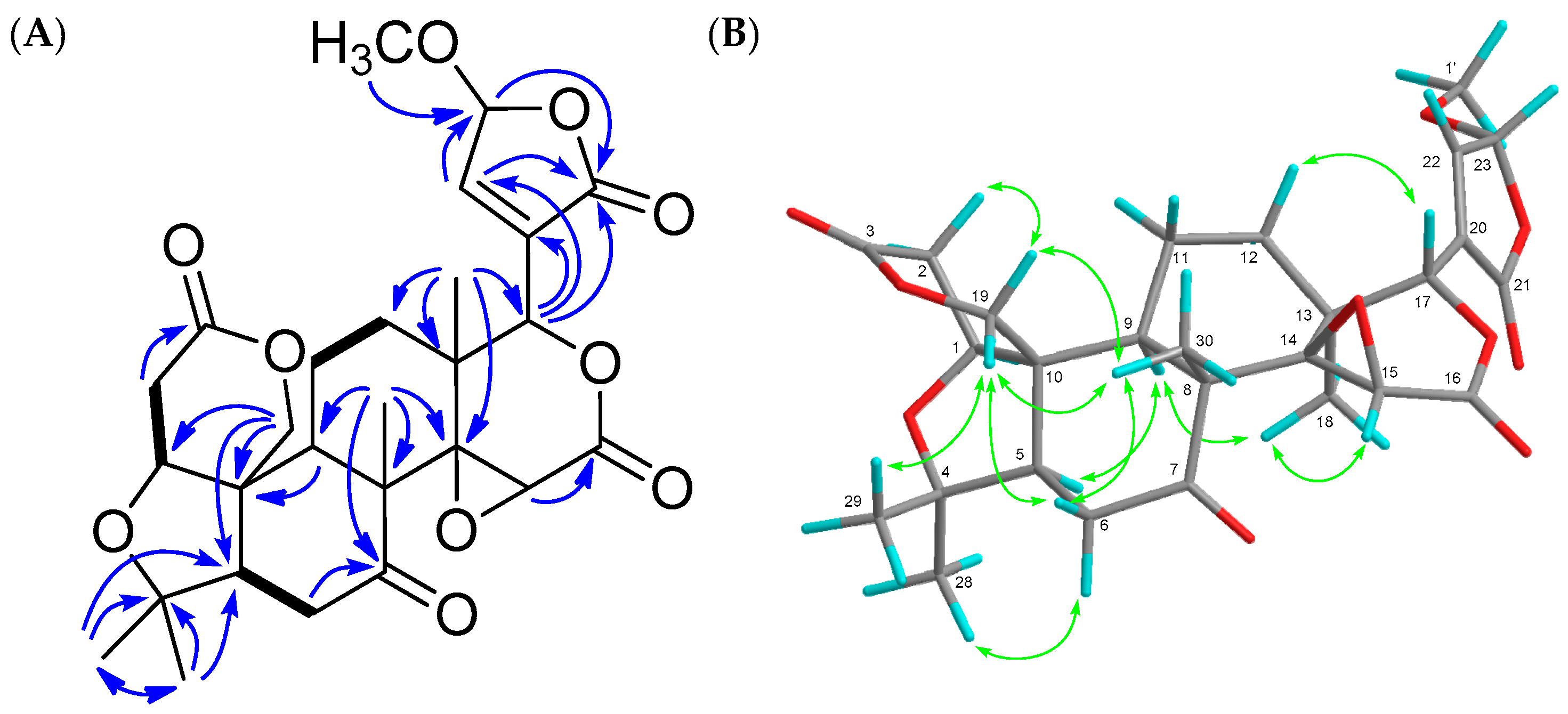 Molecules 22 00907 g004