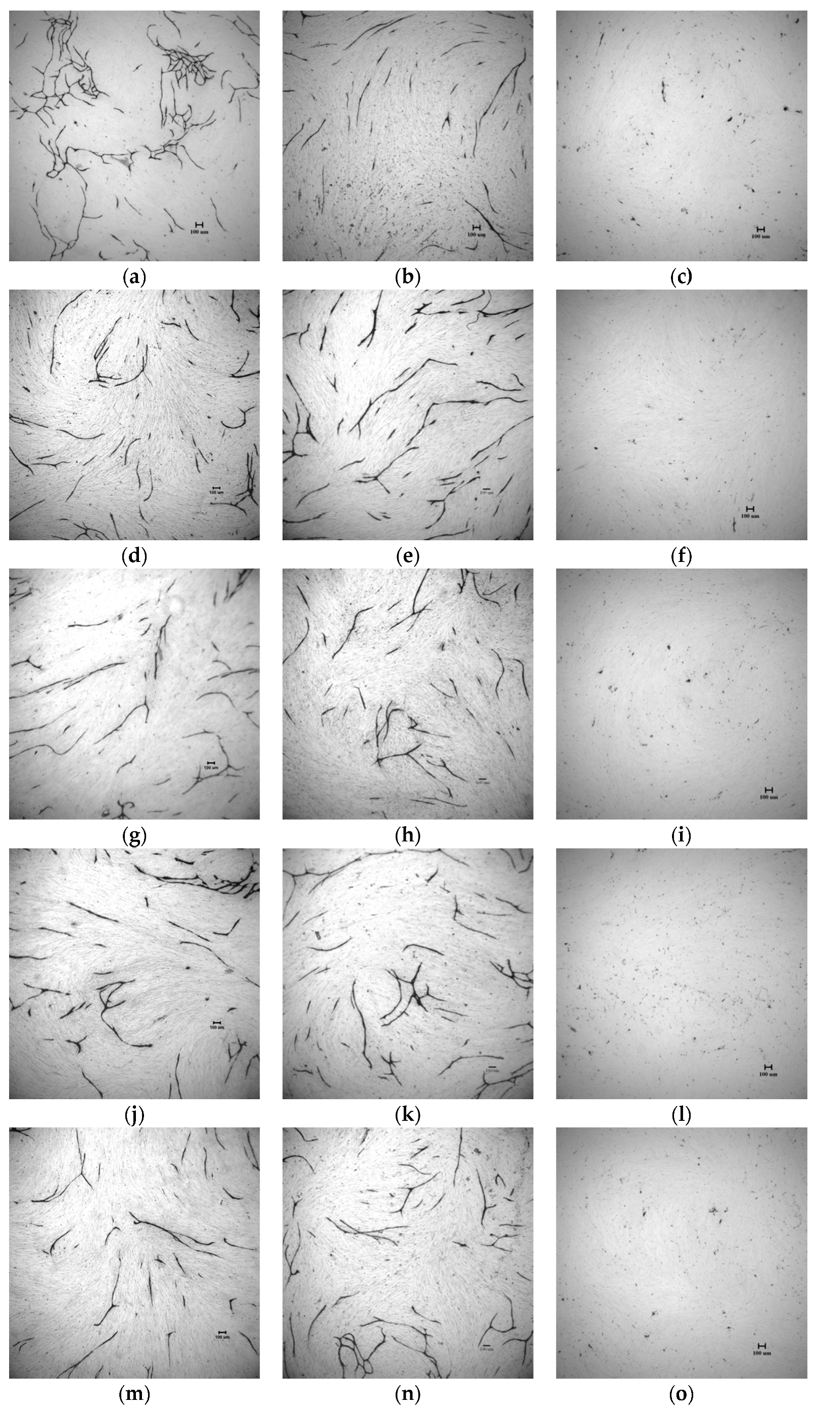 Molecules 22 00913 g005a