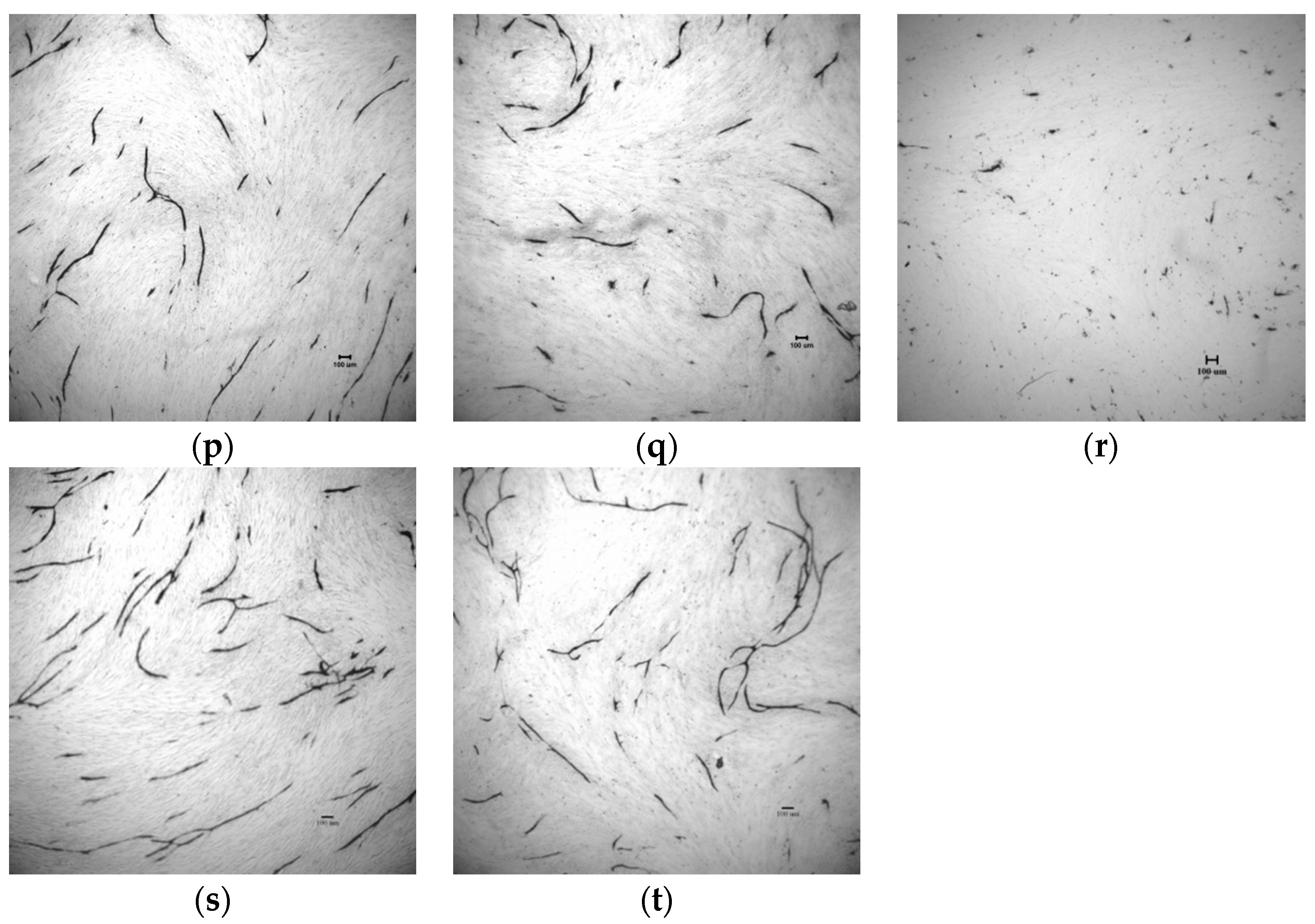 Molecules 22 00913 g005b