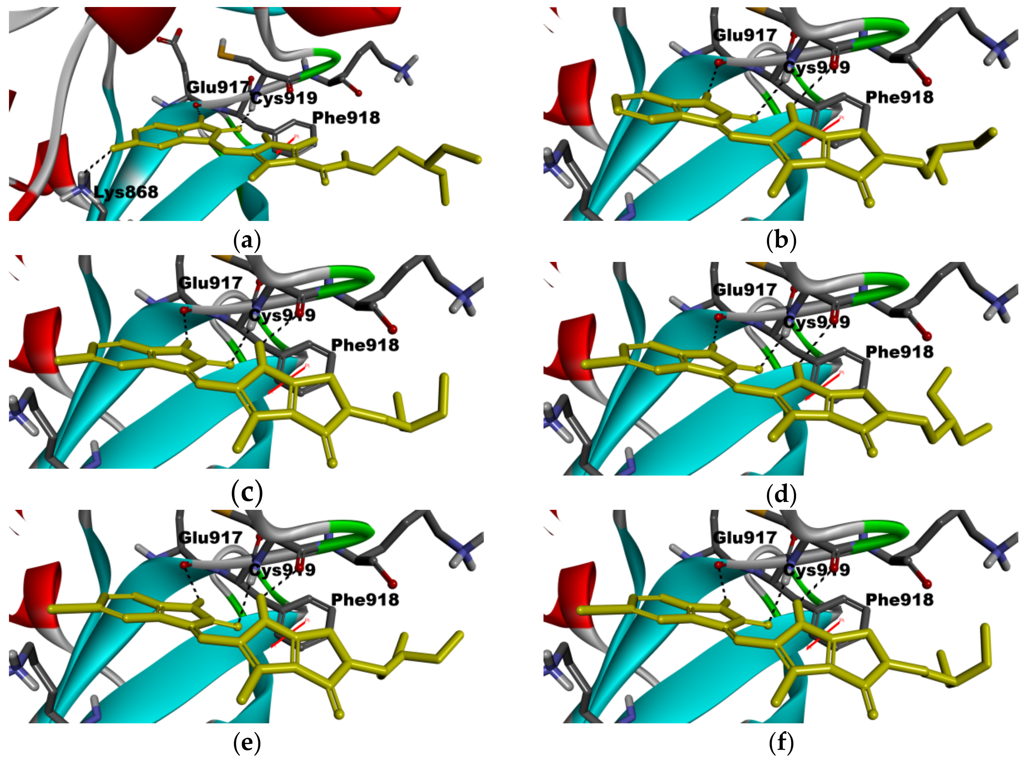 Molecules 22 00913 g006