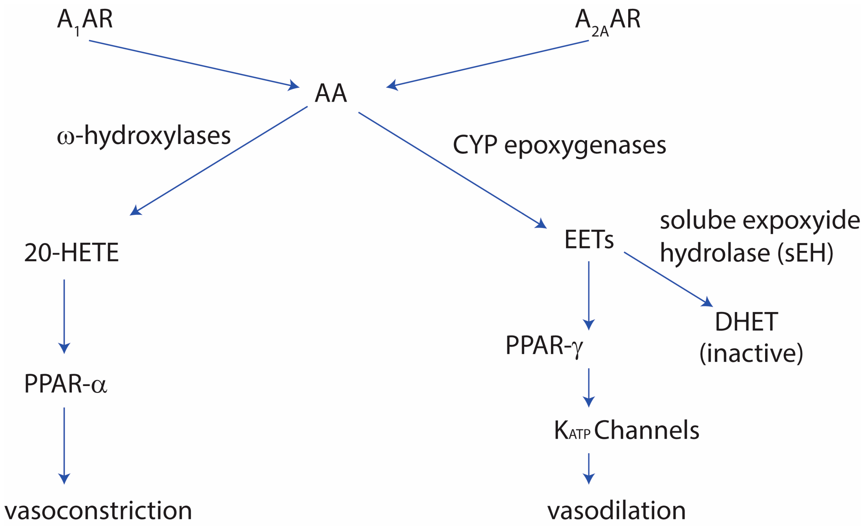 Molecules 22 00917 g001