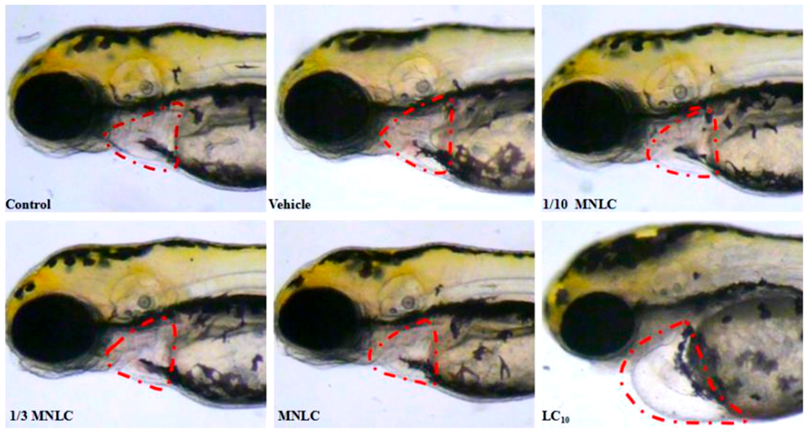 Molecules 22 00943 g005