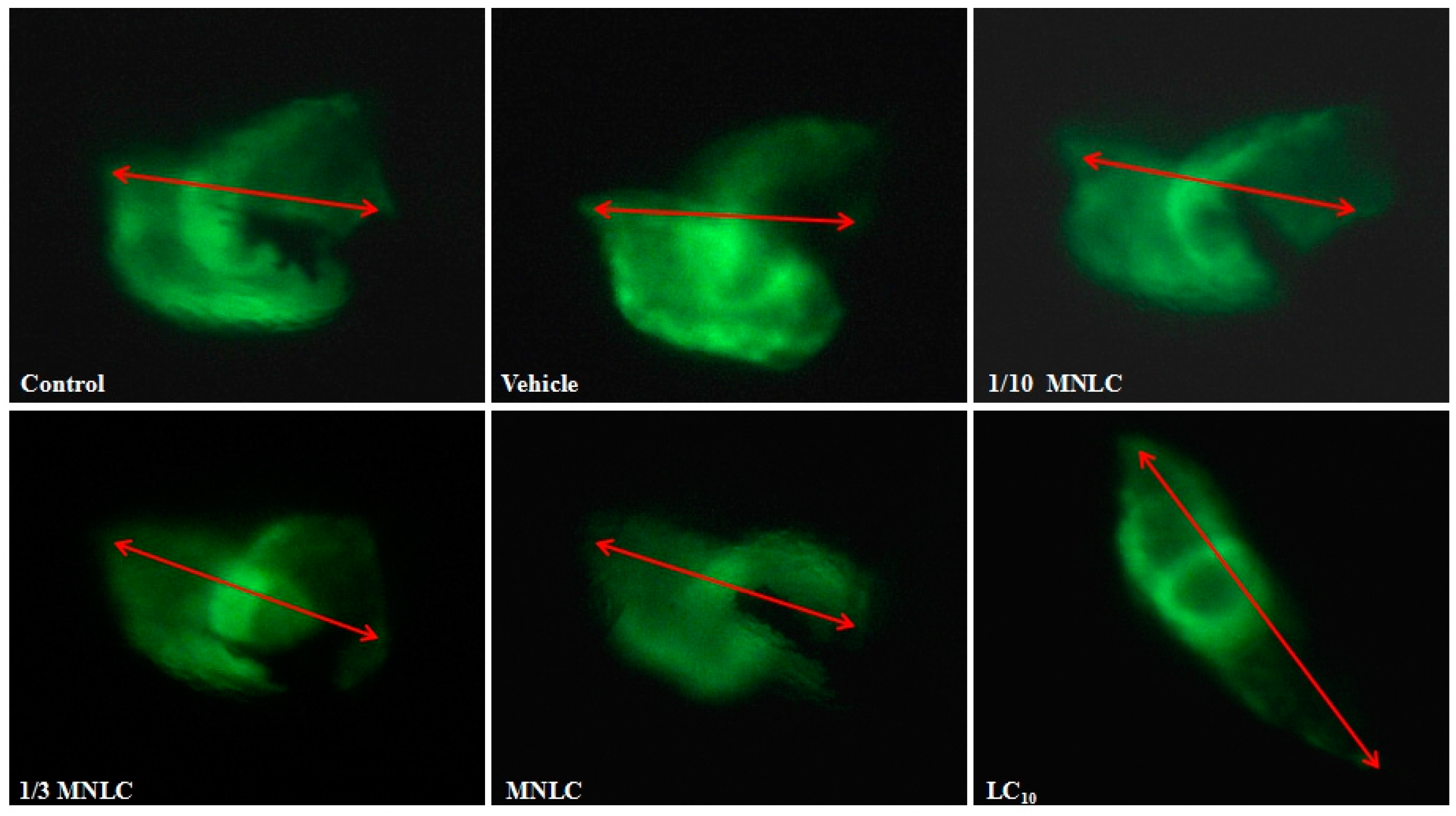 Molecules 22 00943 g006