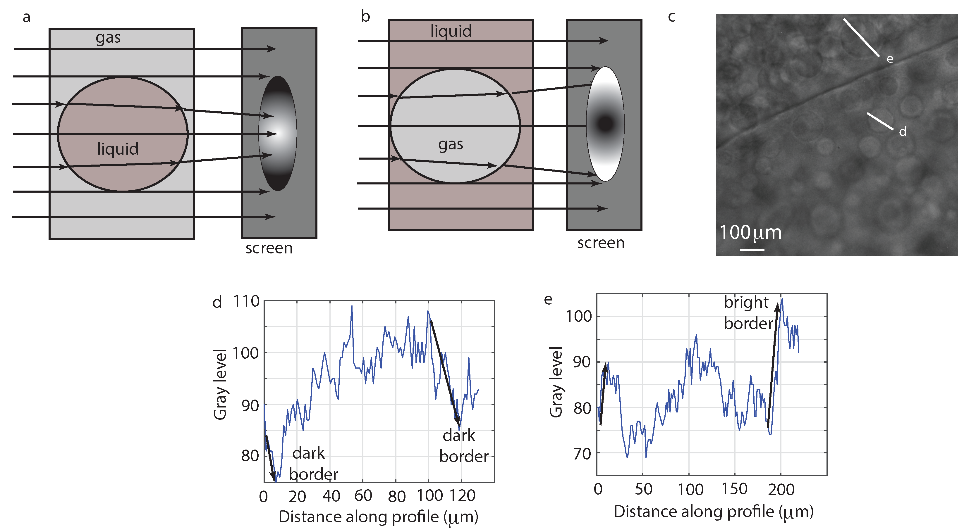 Molecules 22 00947 g007
