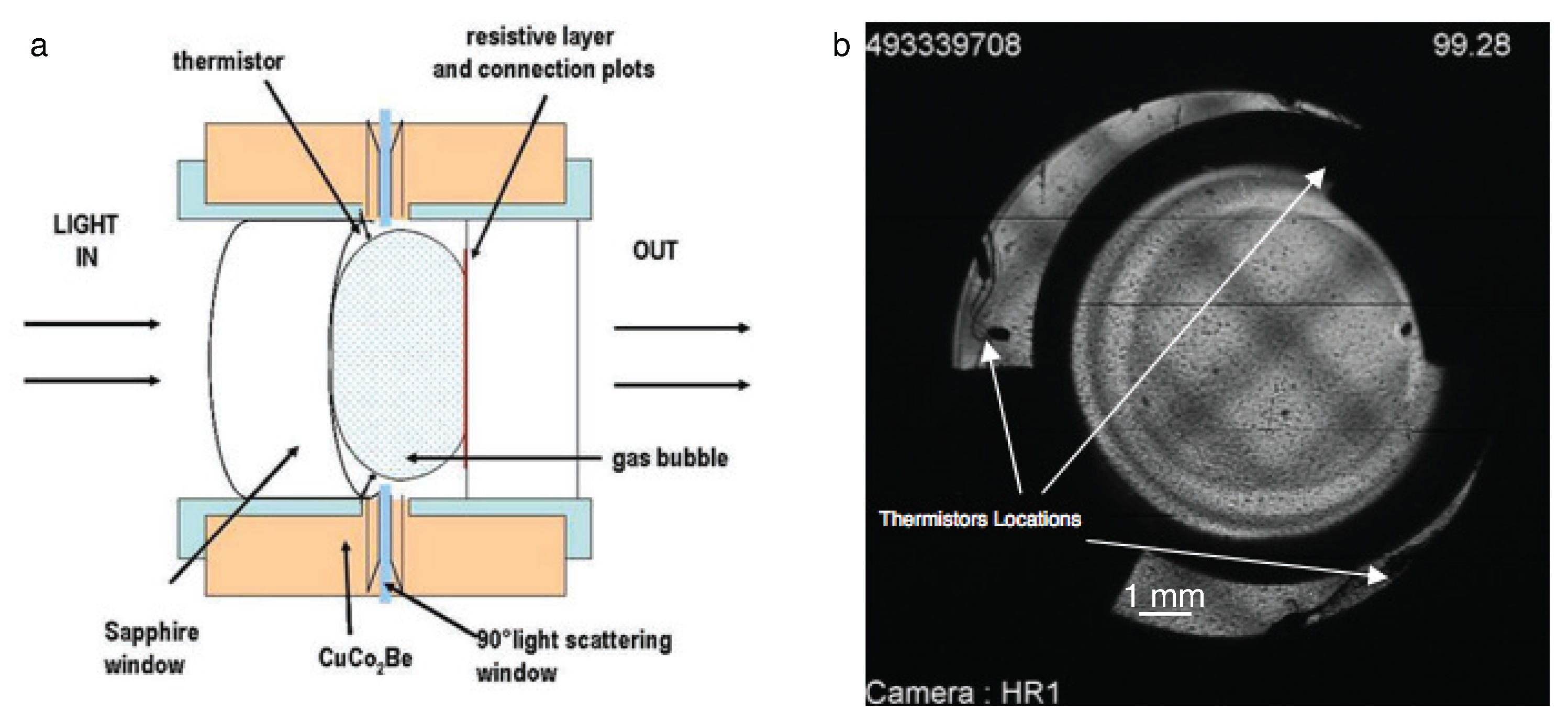 Molecules 22 00947 g012