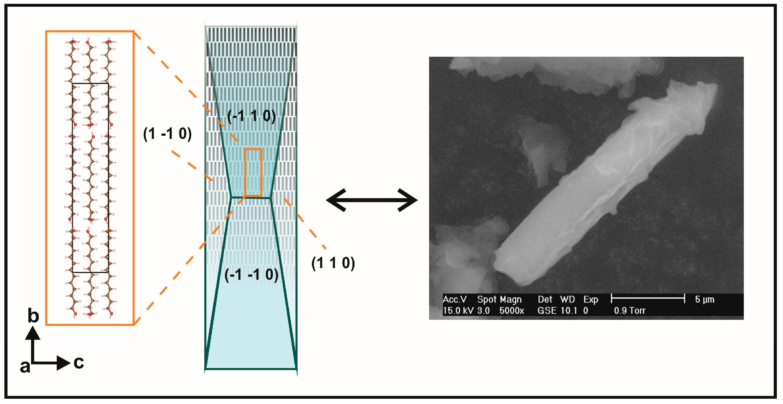Molecules 22 00956 g008