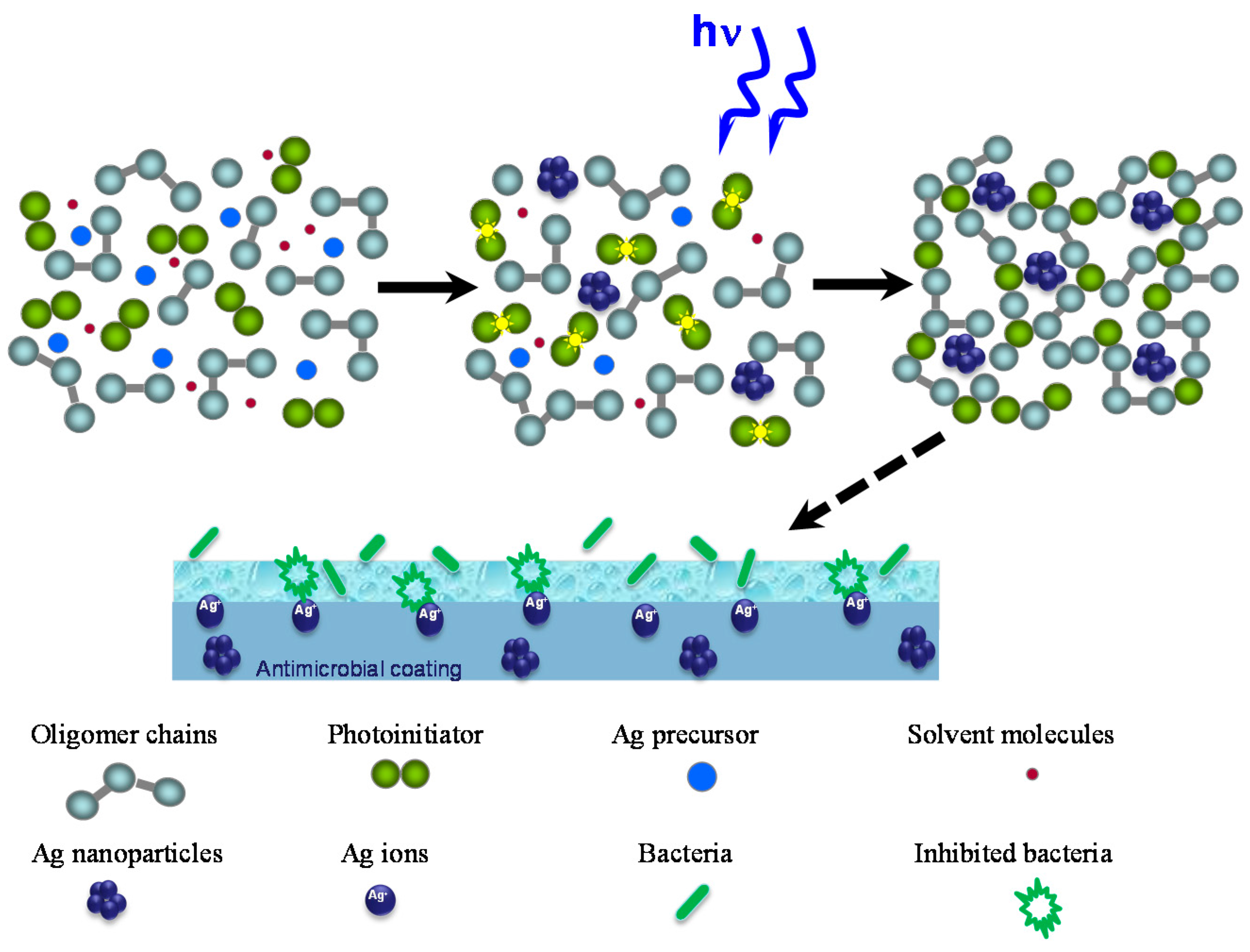 Molecules 22 00964 g009