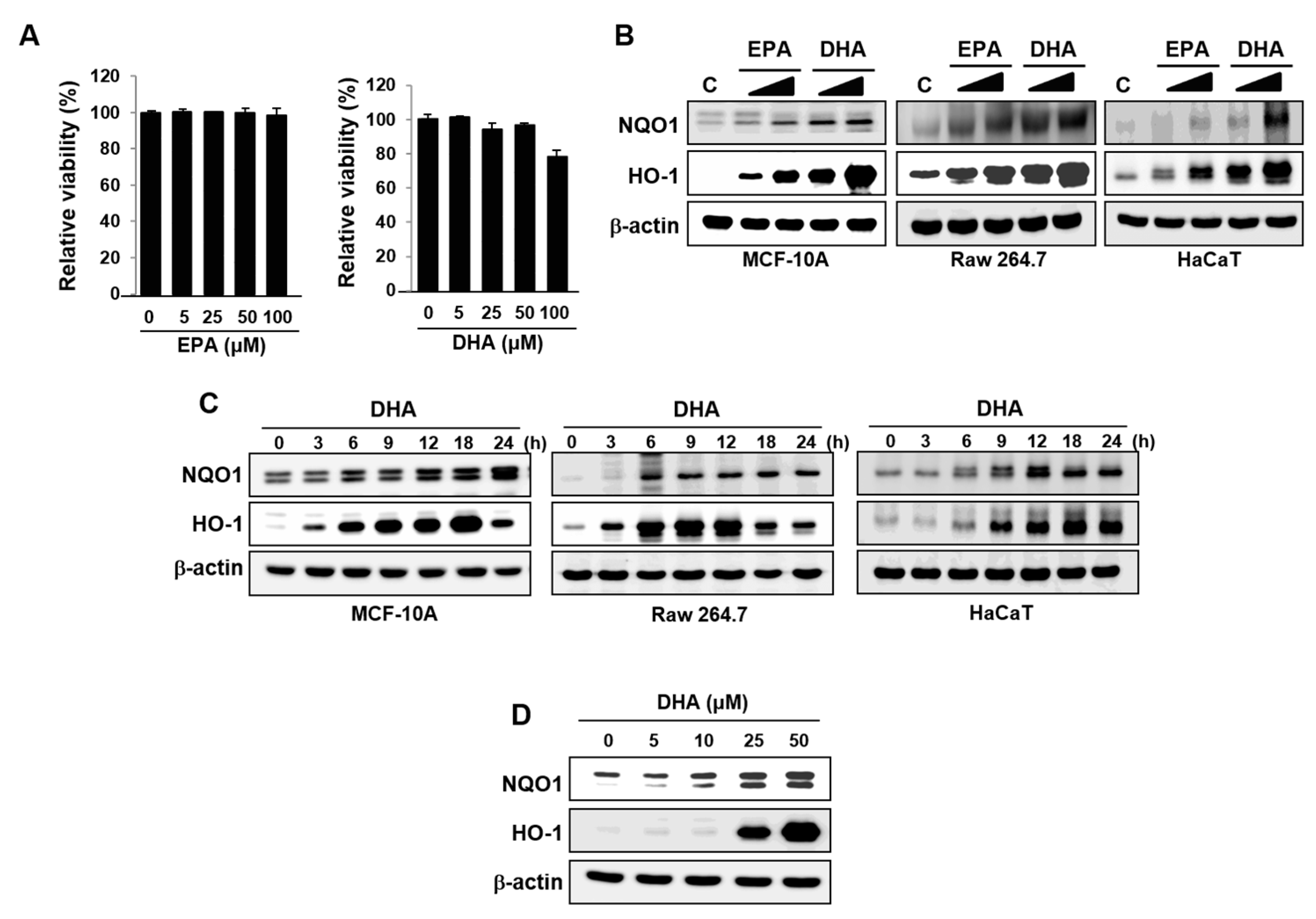 Molecules 22 00969 g001
