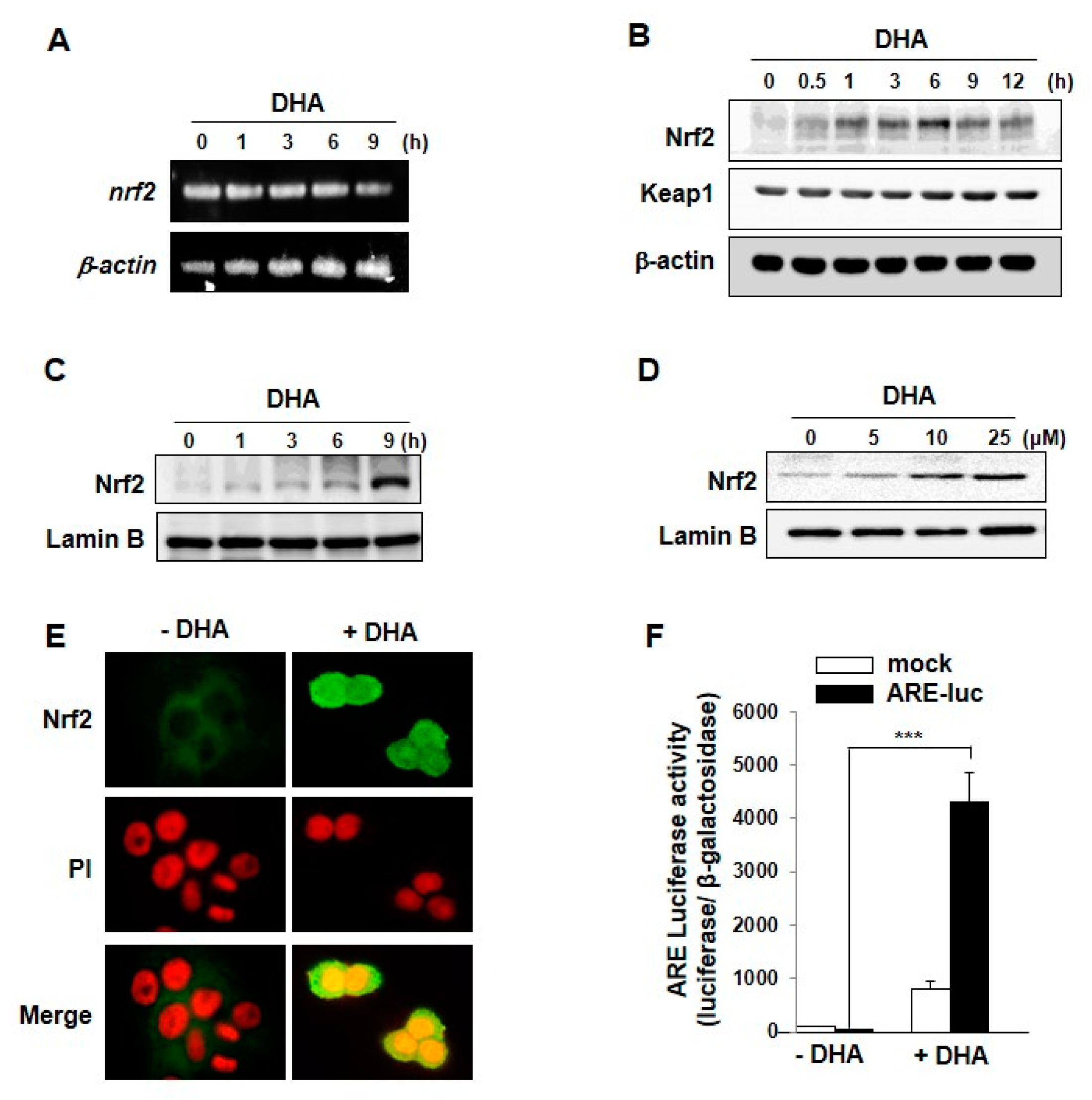 Molecules 22 00969 g002