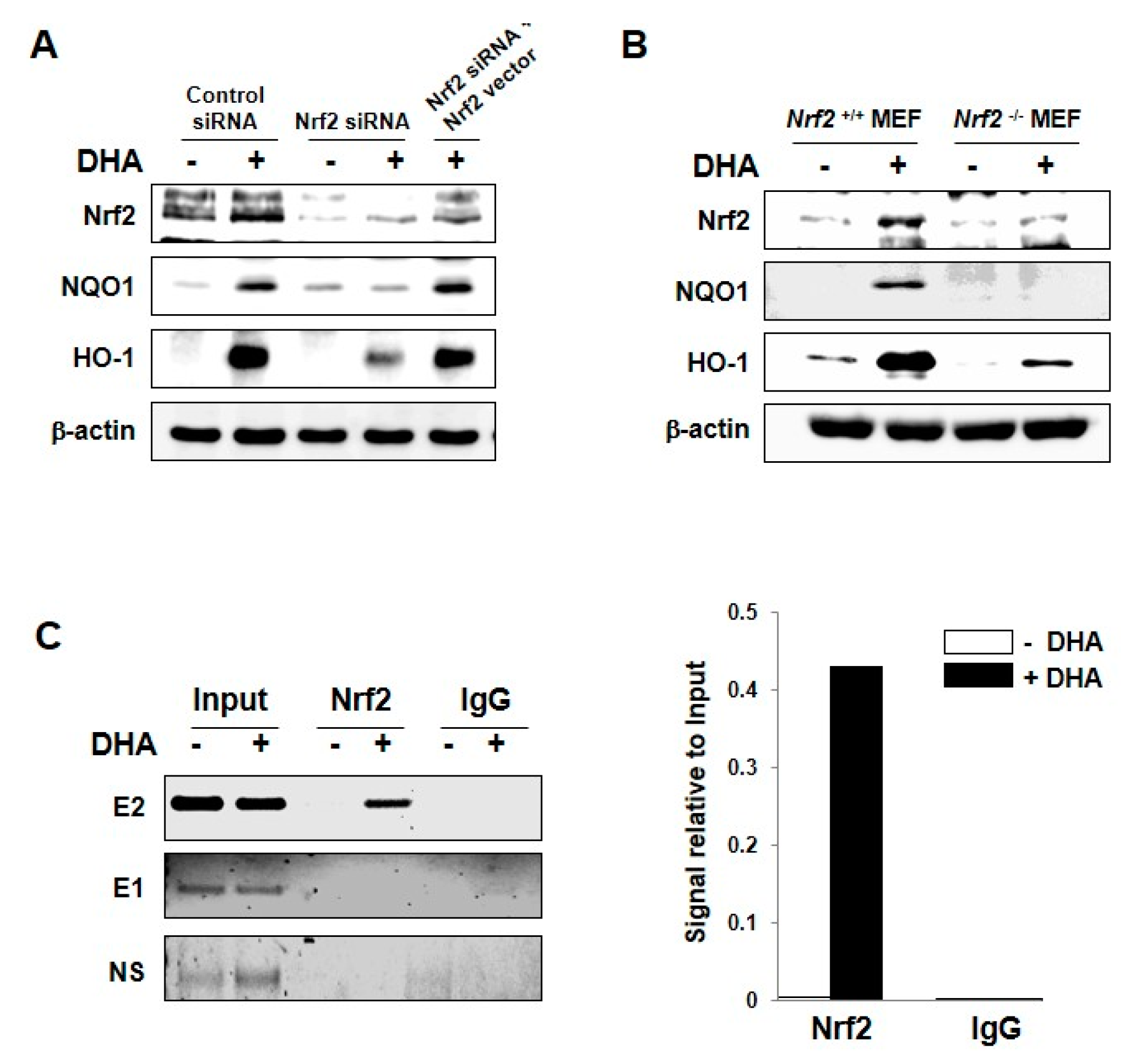 Molecules 22 00969 g003