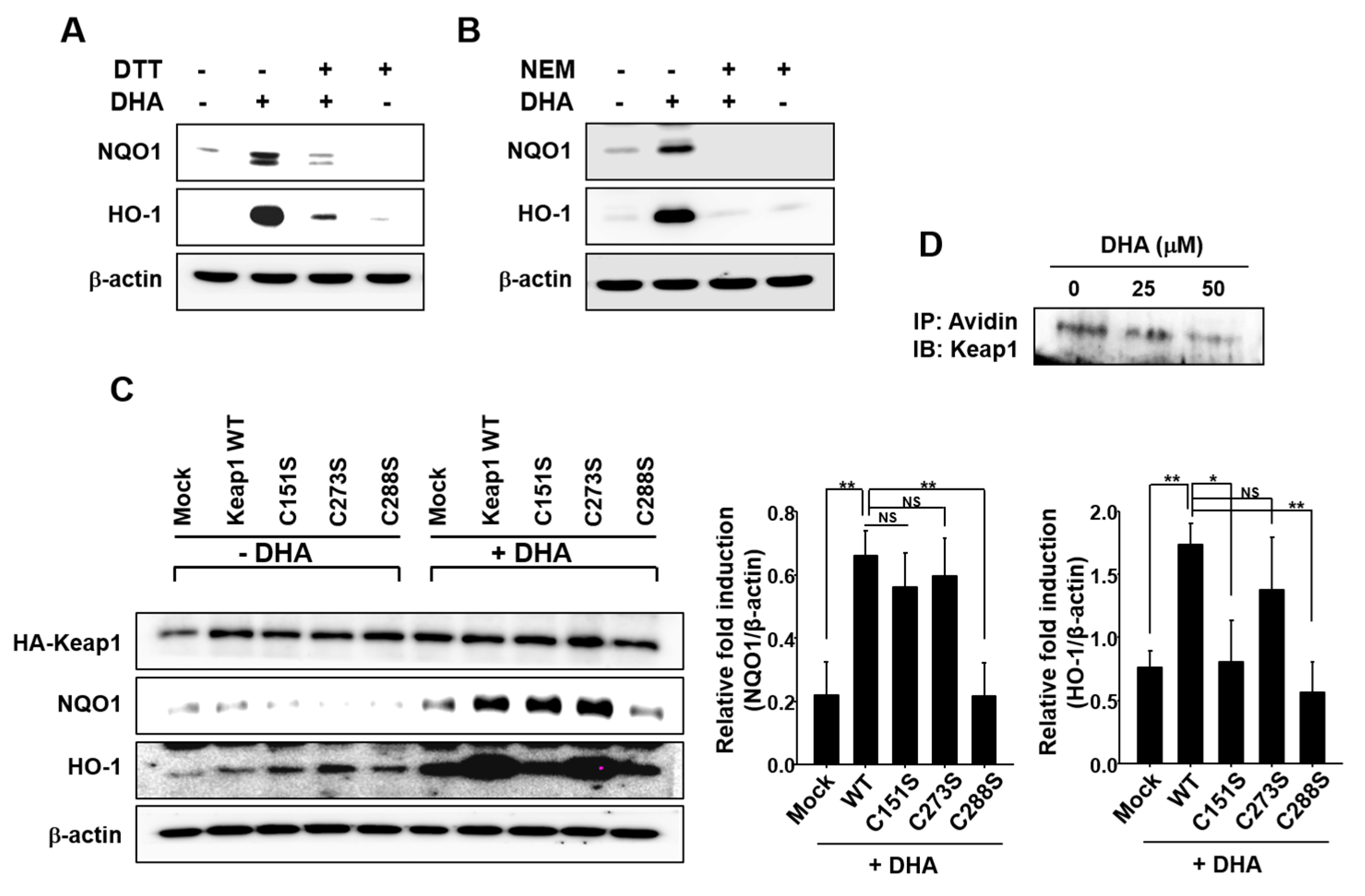 Molecules 22 00969 g004