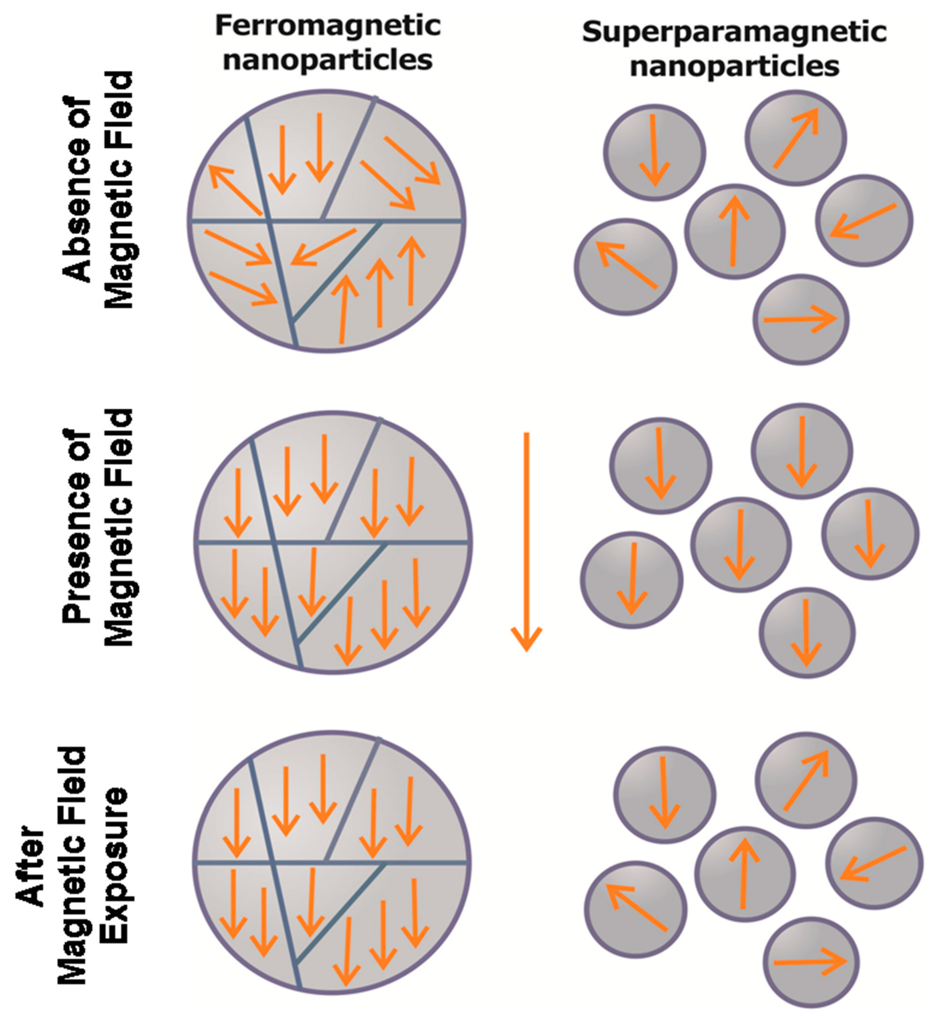 Molecules 22 00975 g001