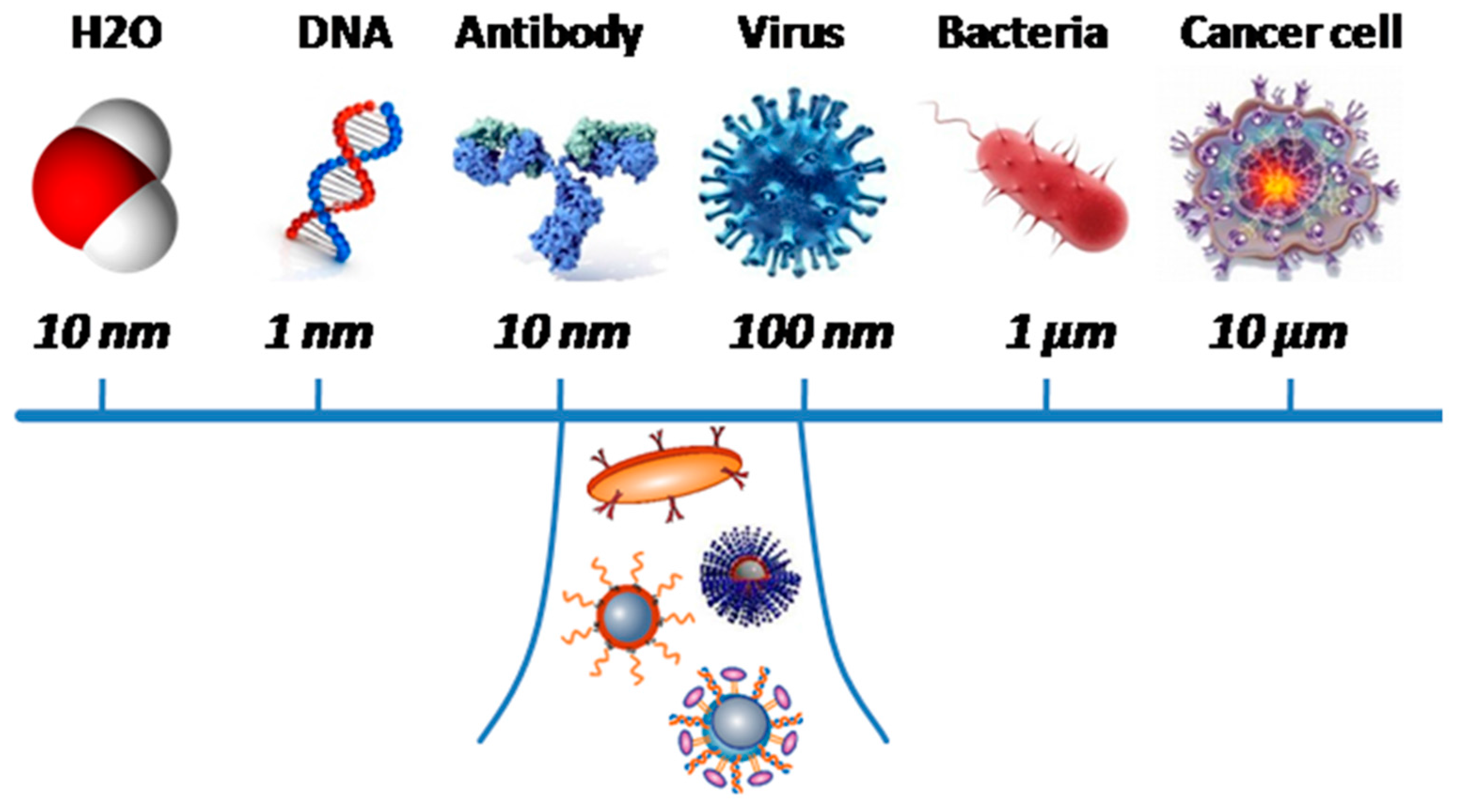Molecules 22 00975 g002