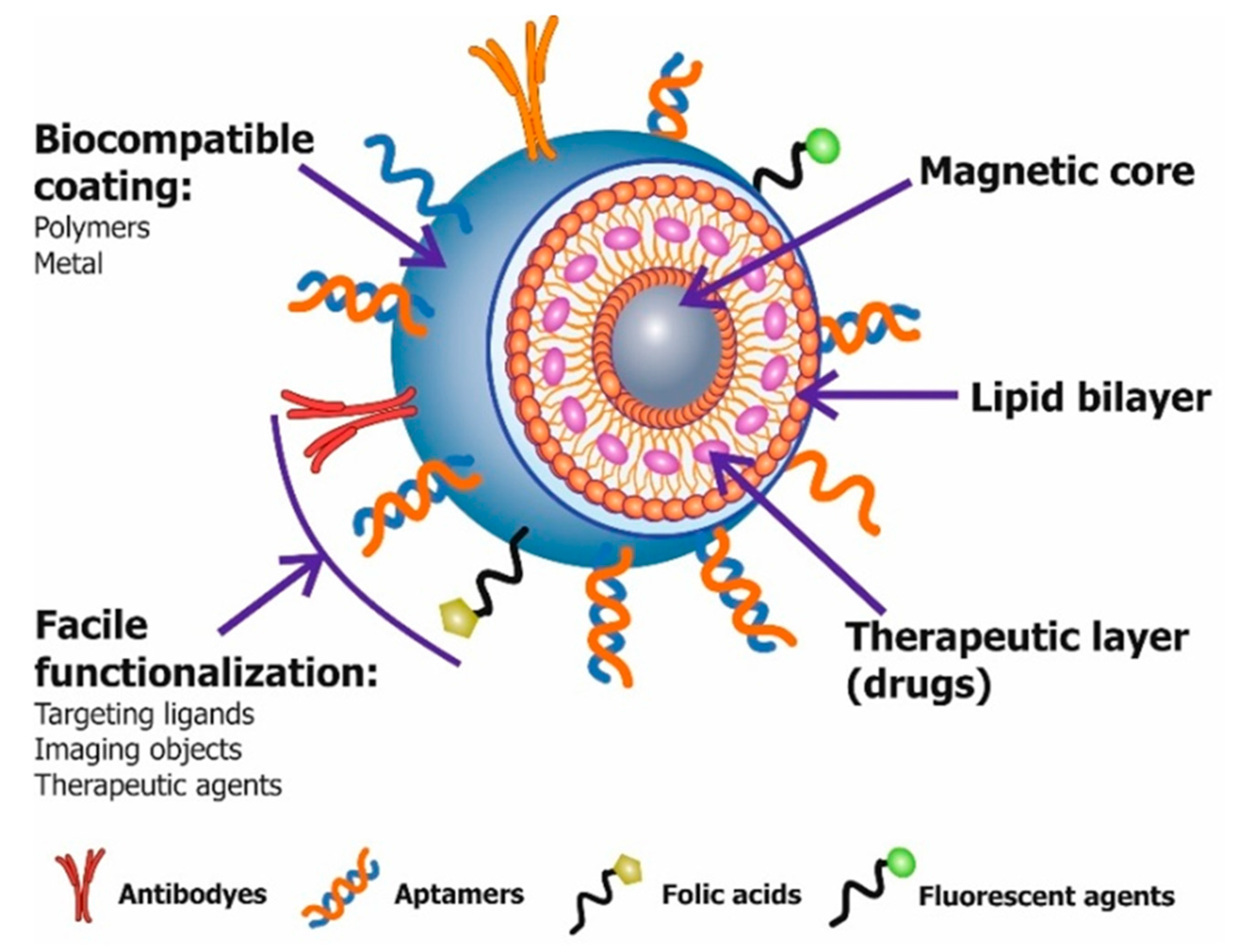 Molecules 22 00975 g003