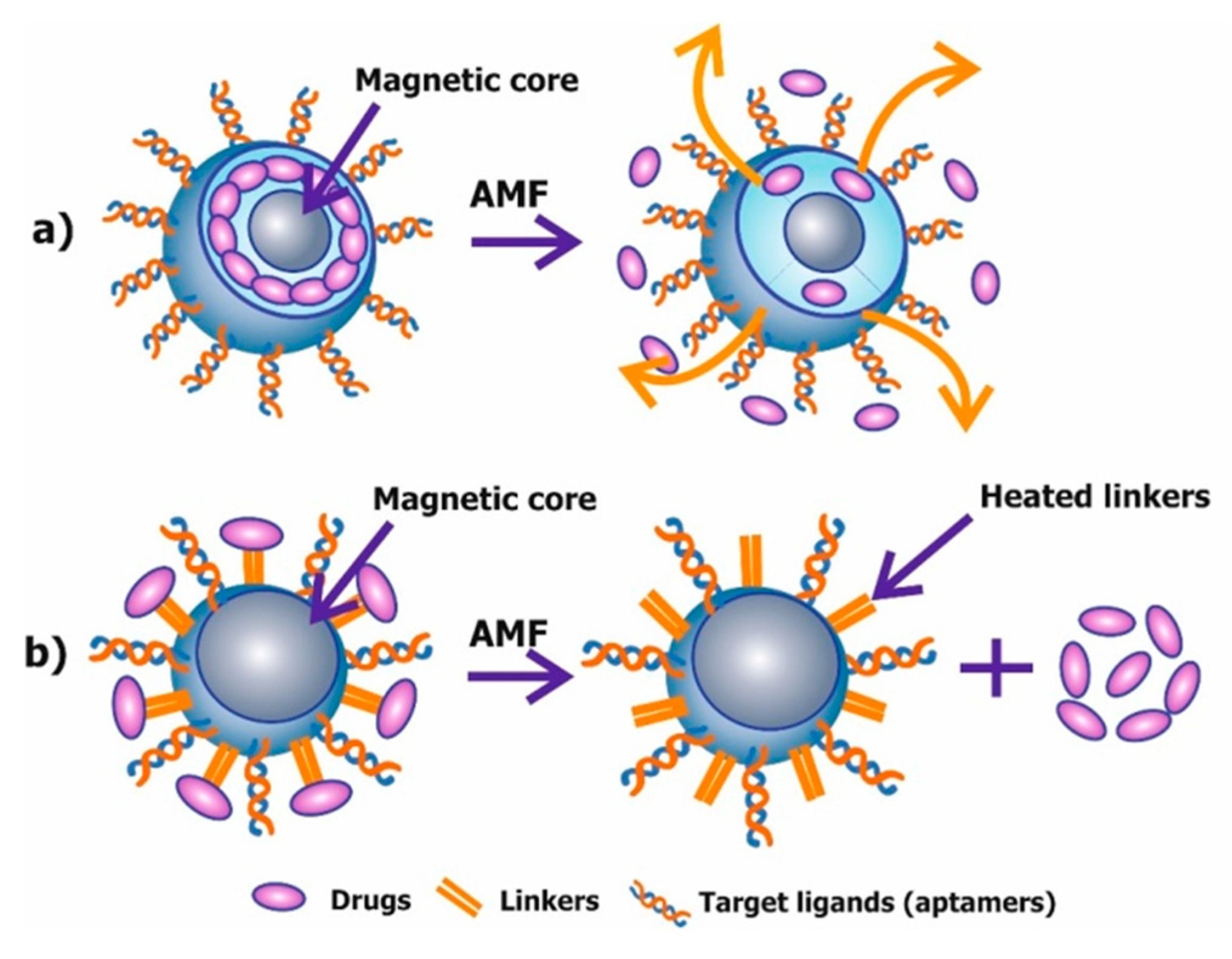 Molecules 22 00975 g005
