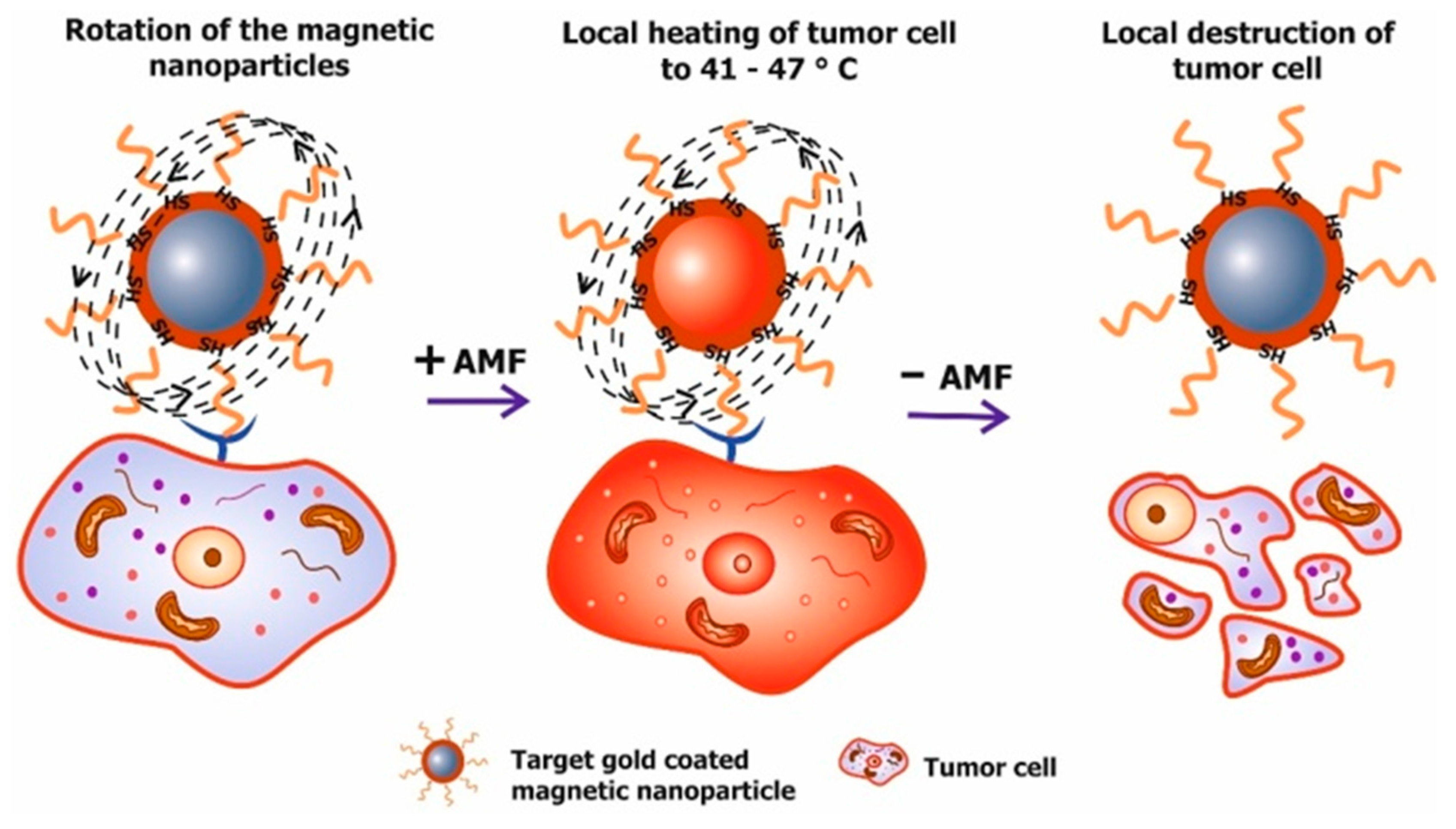 Molecules 22 00975 g006