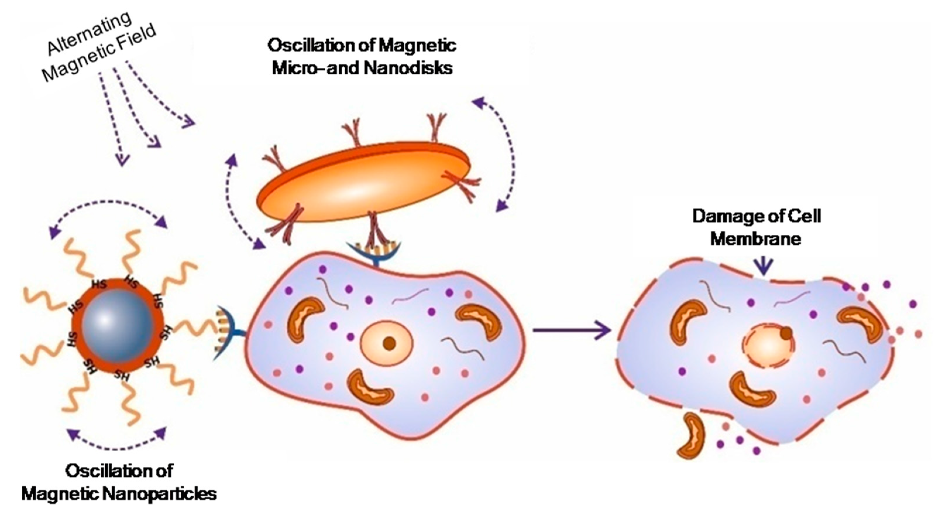 Molecules 22 00975 g007