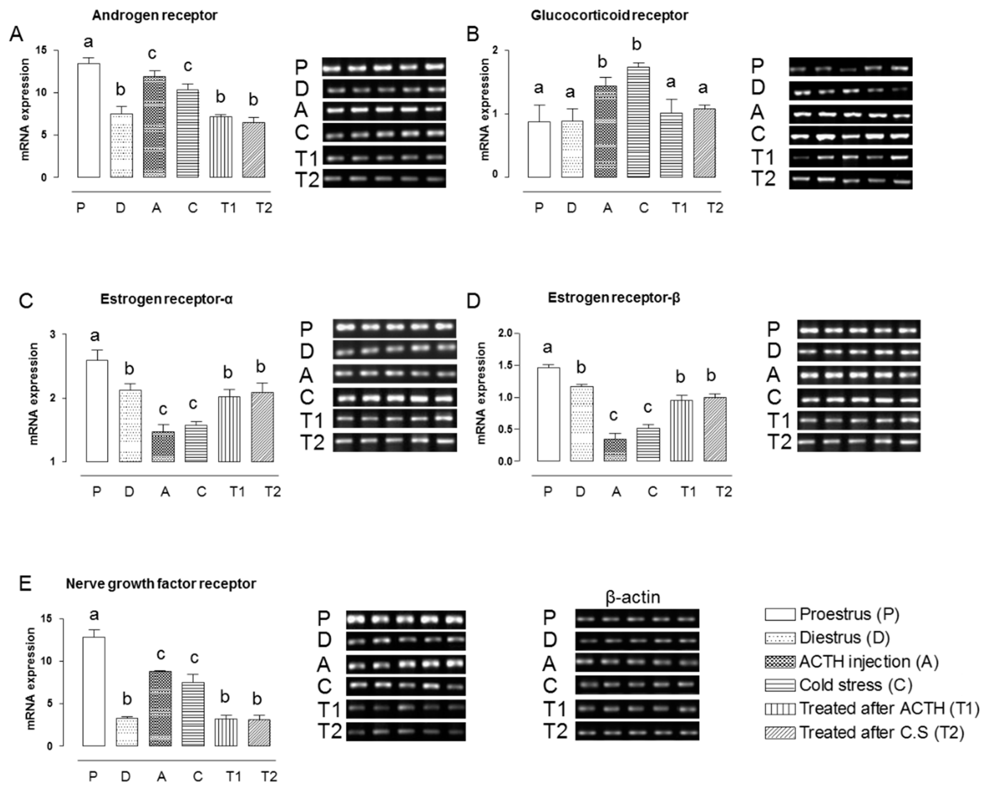 Molecules 22 00978 g001