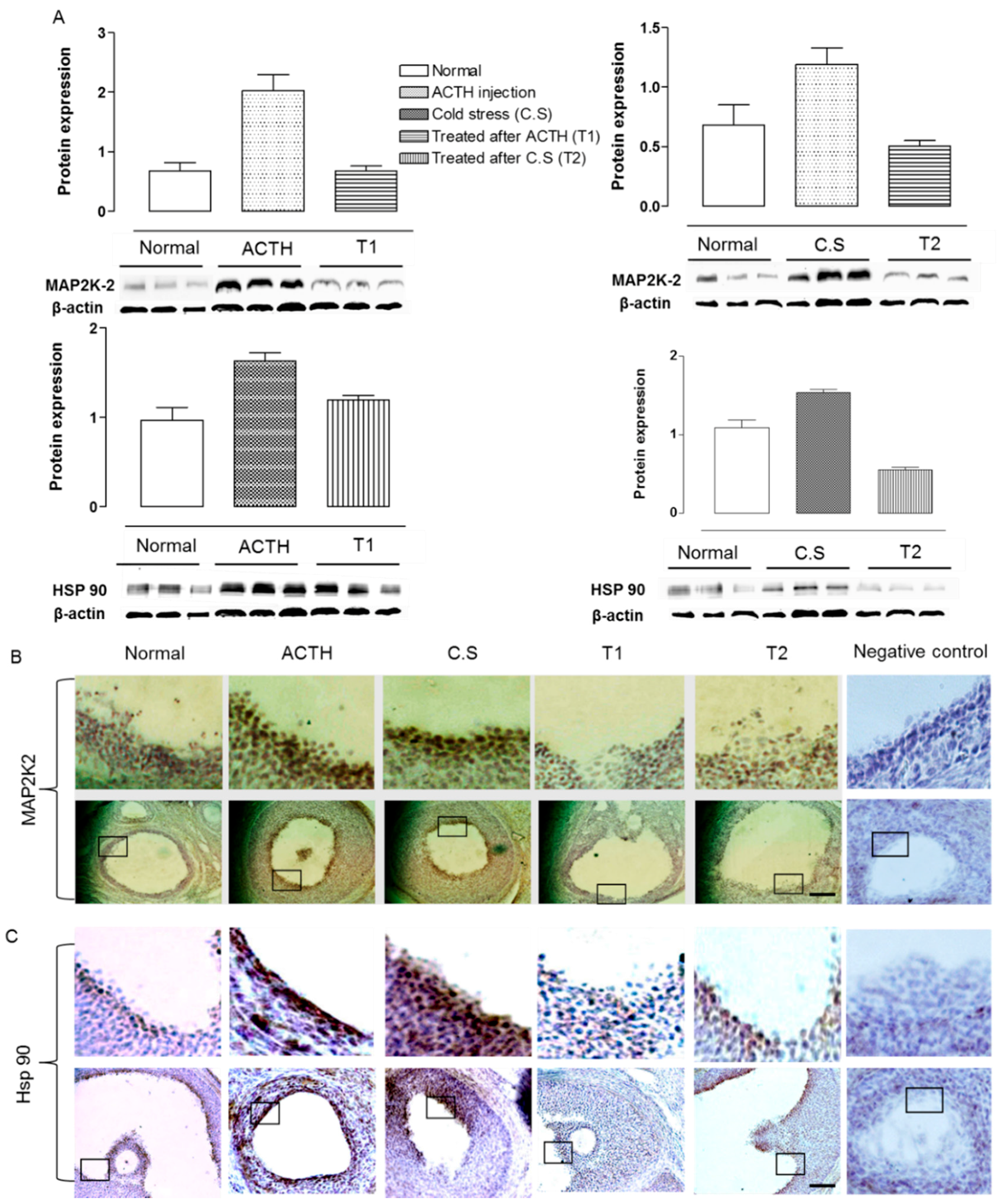 Molecules 22 00978 g003