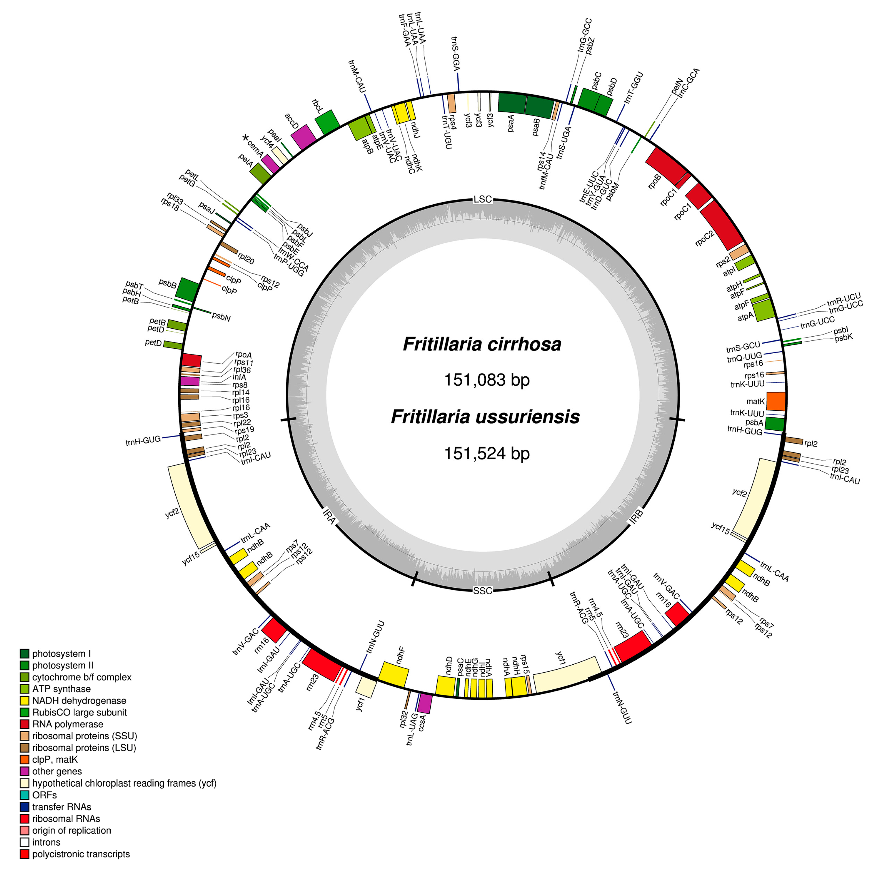 Molecules 22 00982 g001