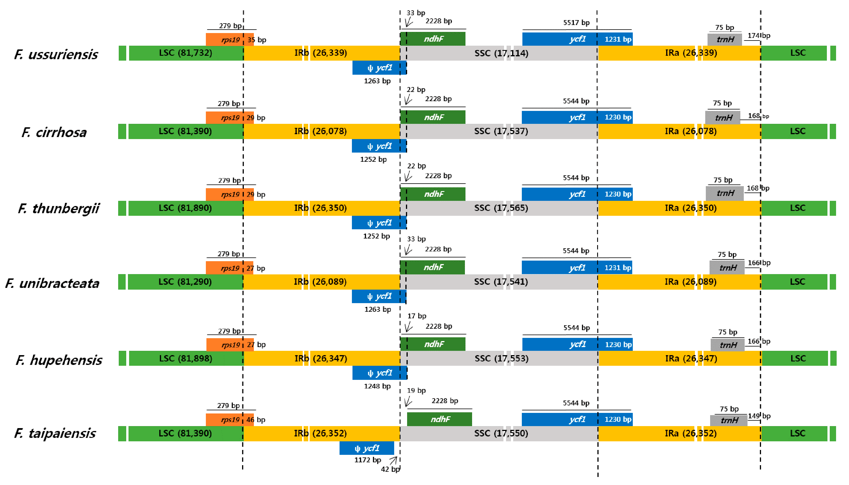 Molecules 22 00982 g004