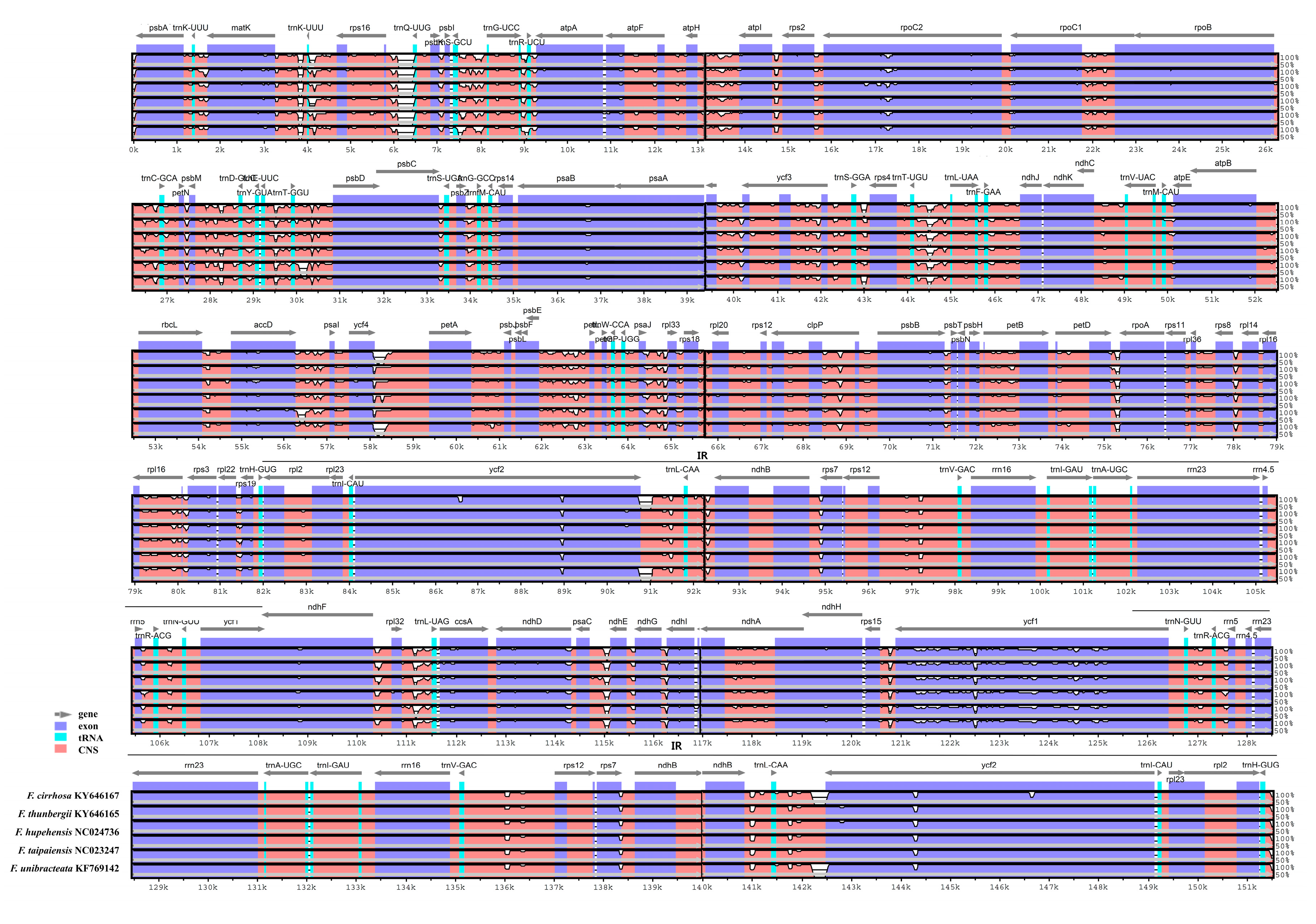 Molecules 22 00982 g005