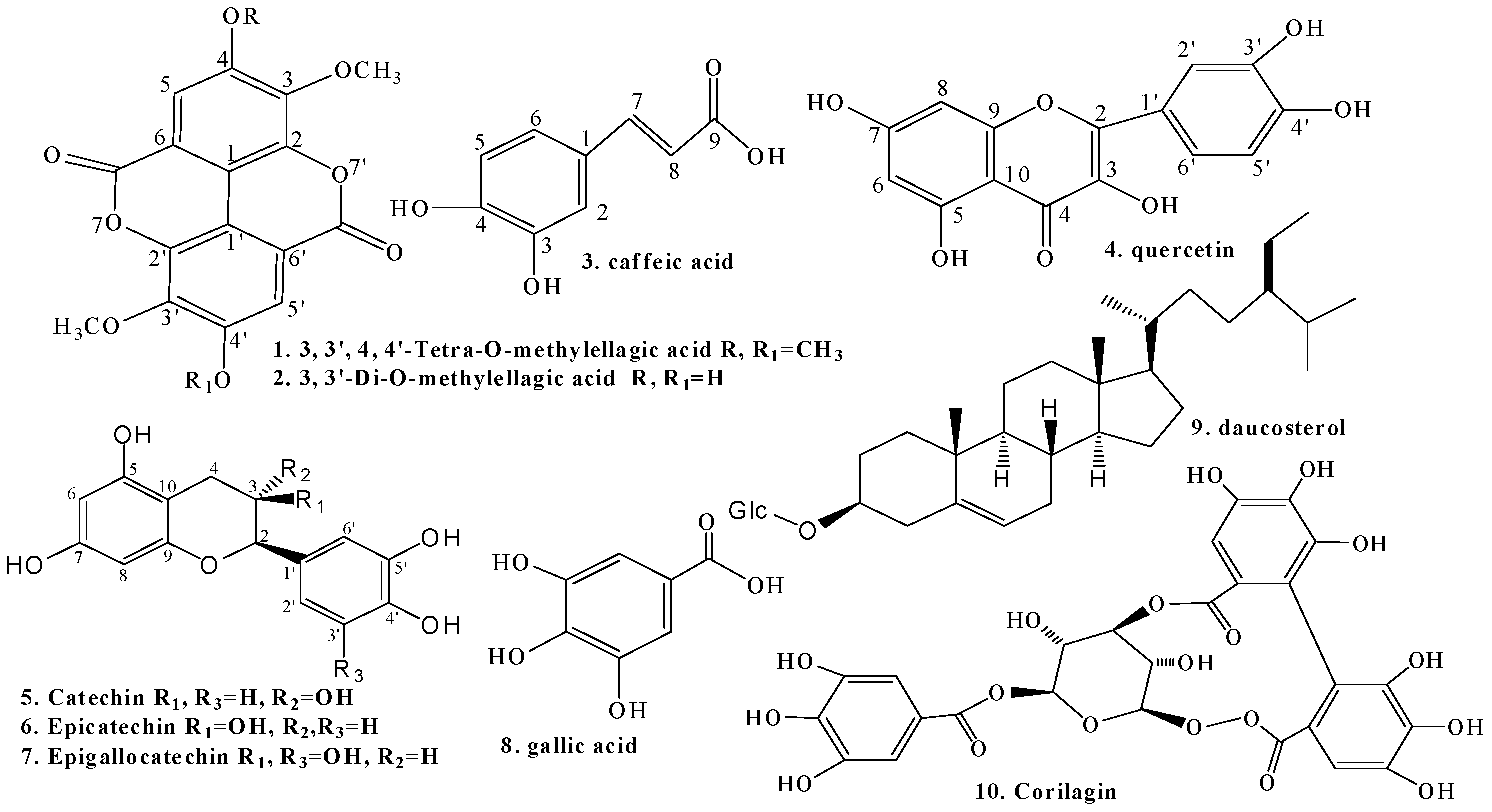 Molecules 22 00983 g002