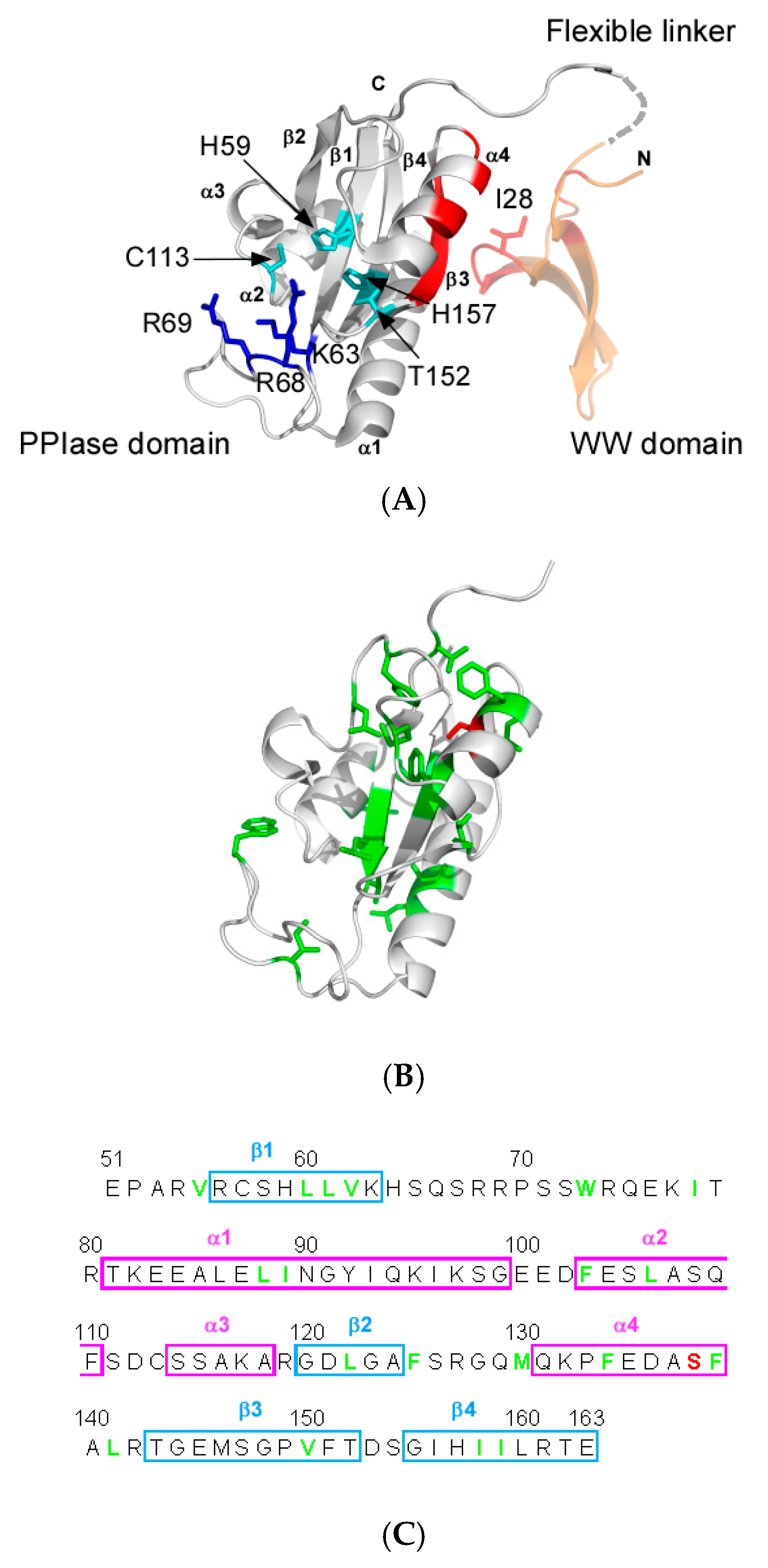 Molecules 22 00992 g001