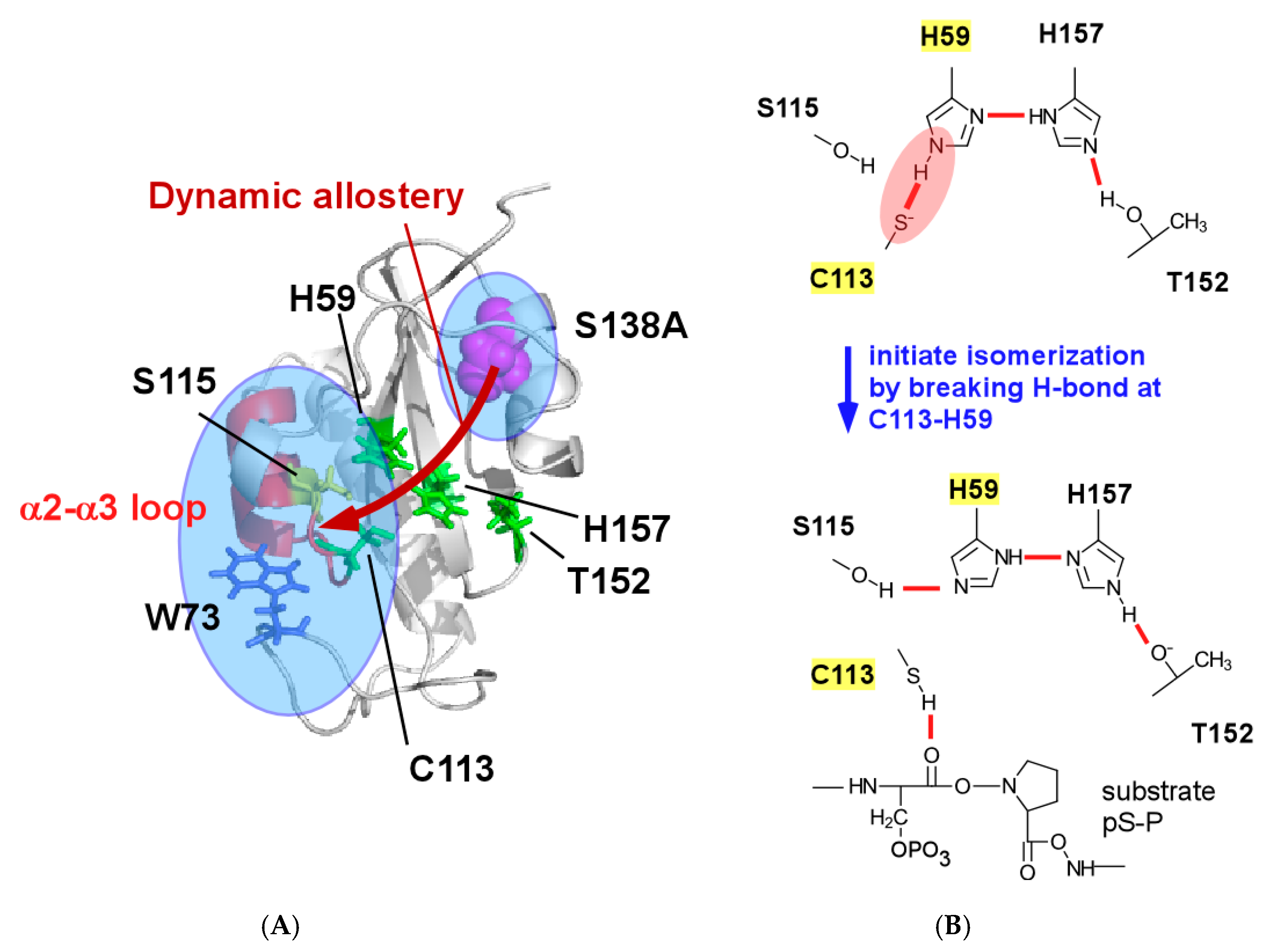 Molecules 22 00992 g009