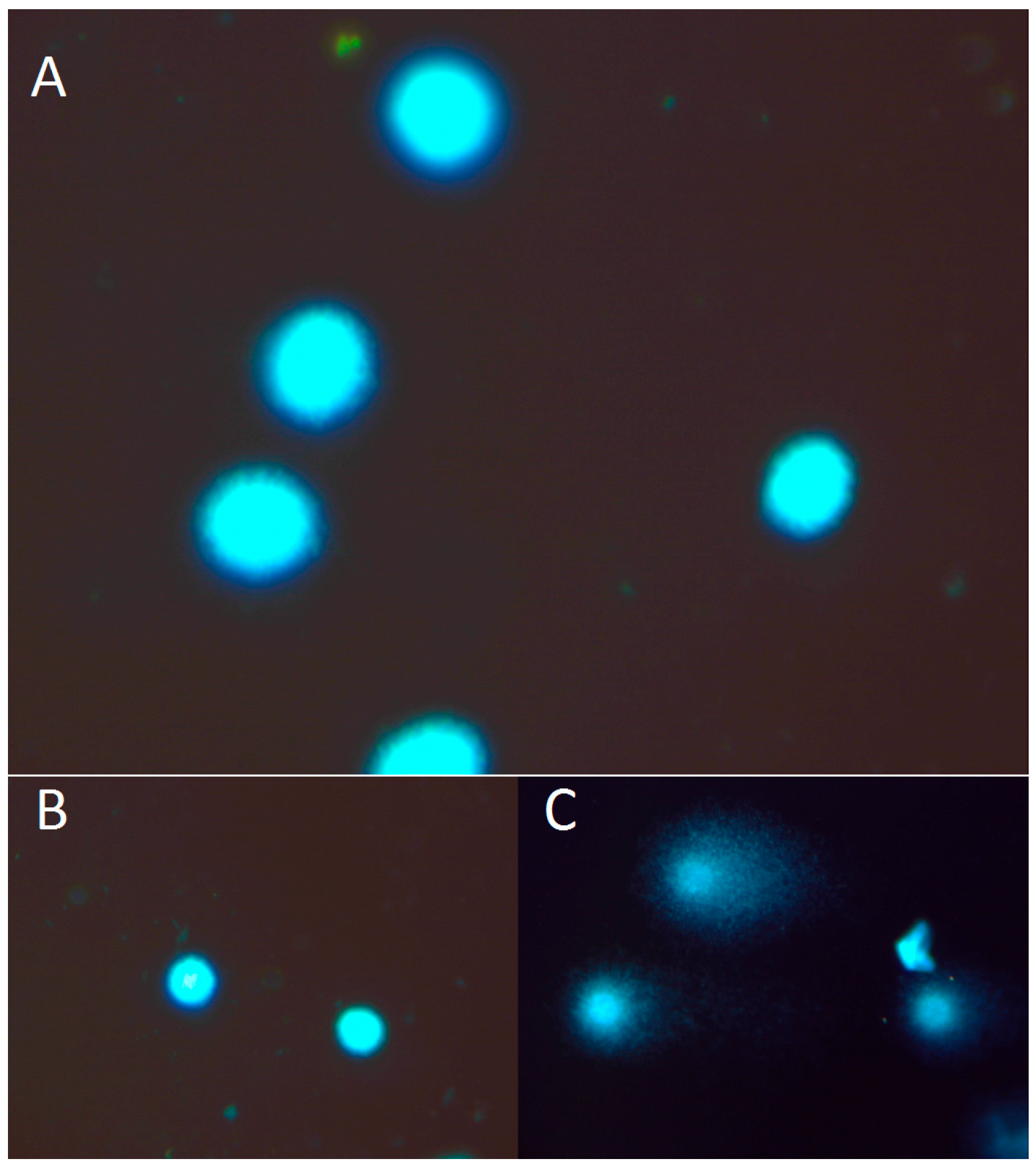 Molecules 22 00993 g002