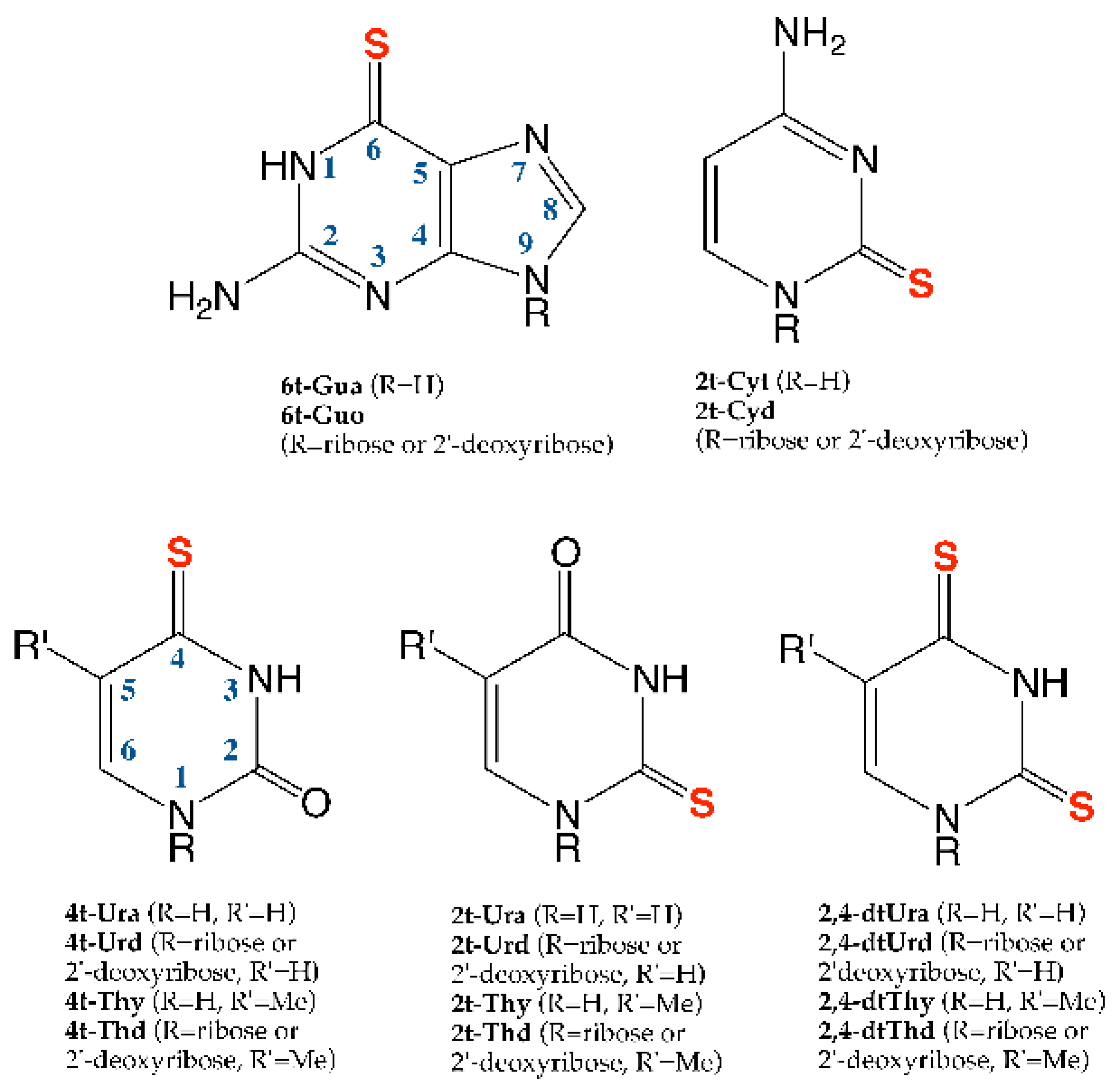 Molecules 22 00998 sch001