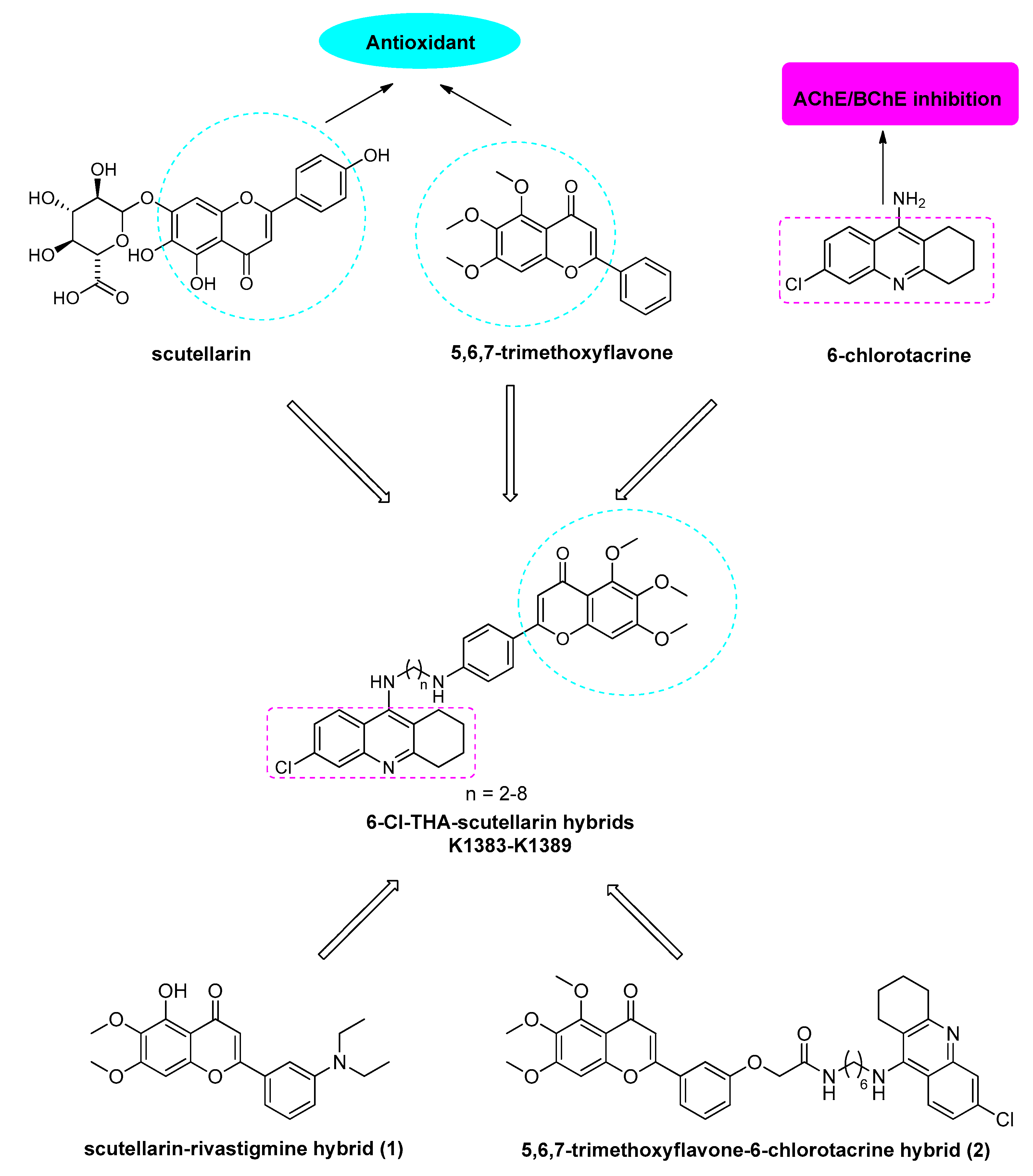 Molecules 22 01006 g001