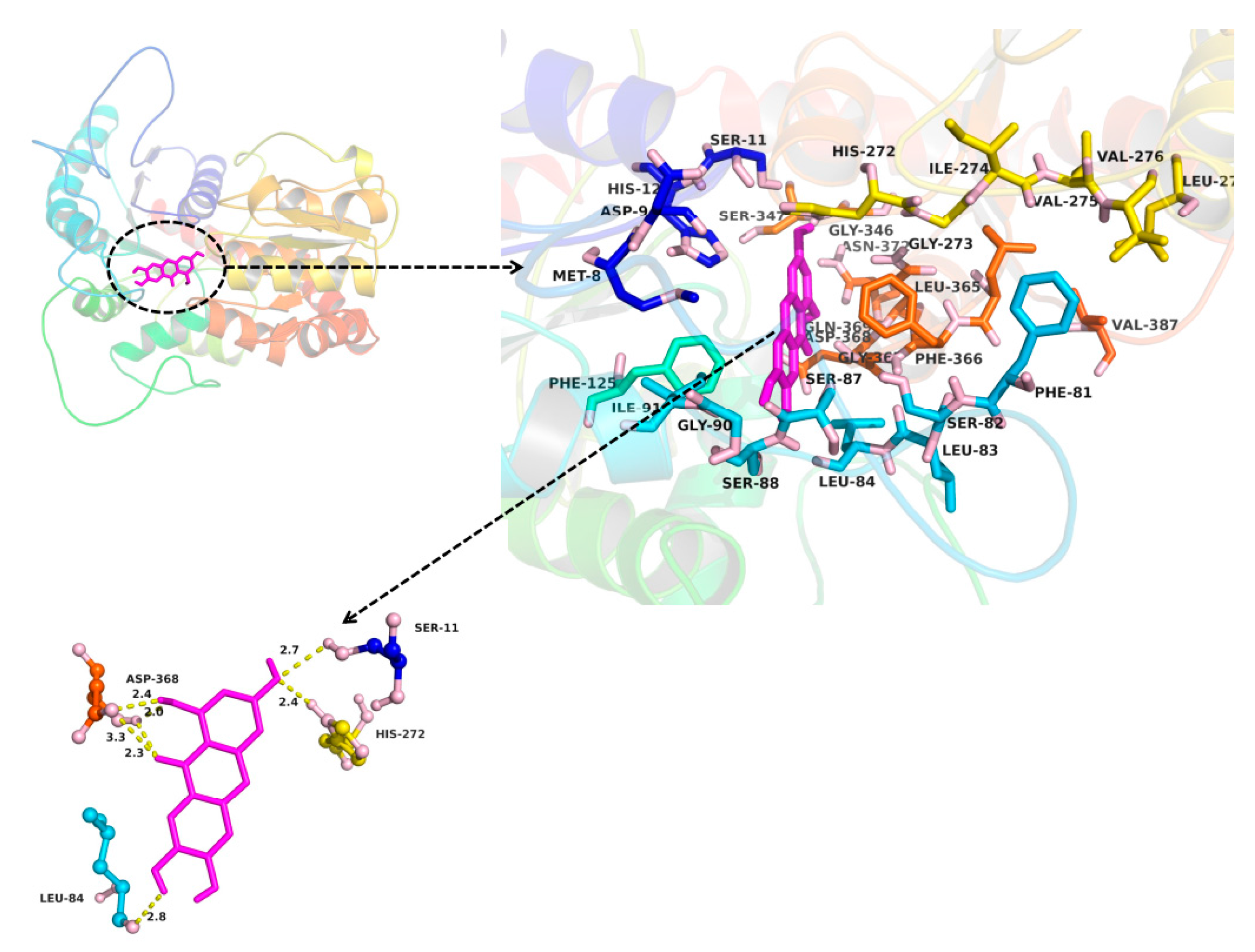 Molecules 22 01008 g007