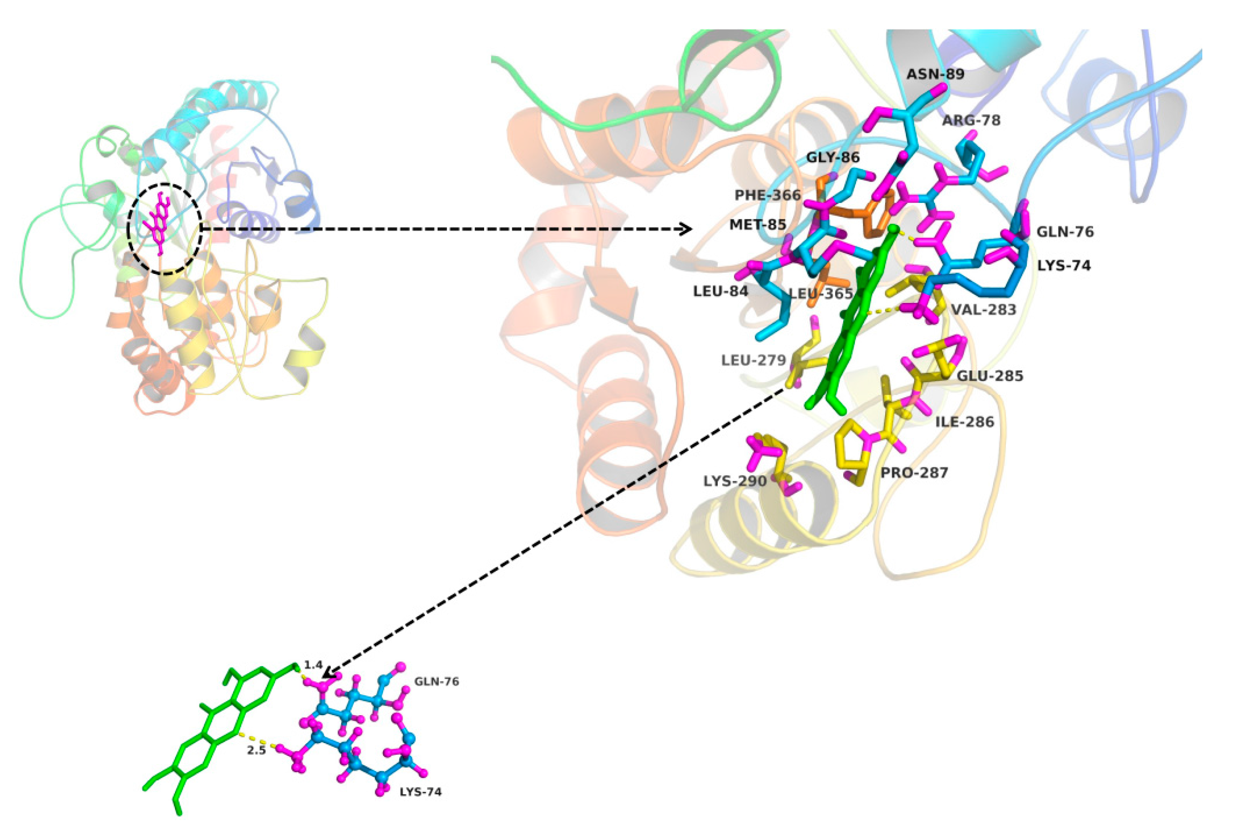 Molecules 22 01008 g008