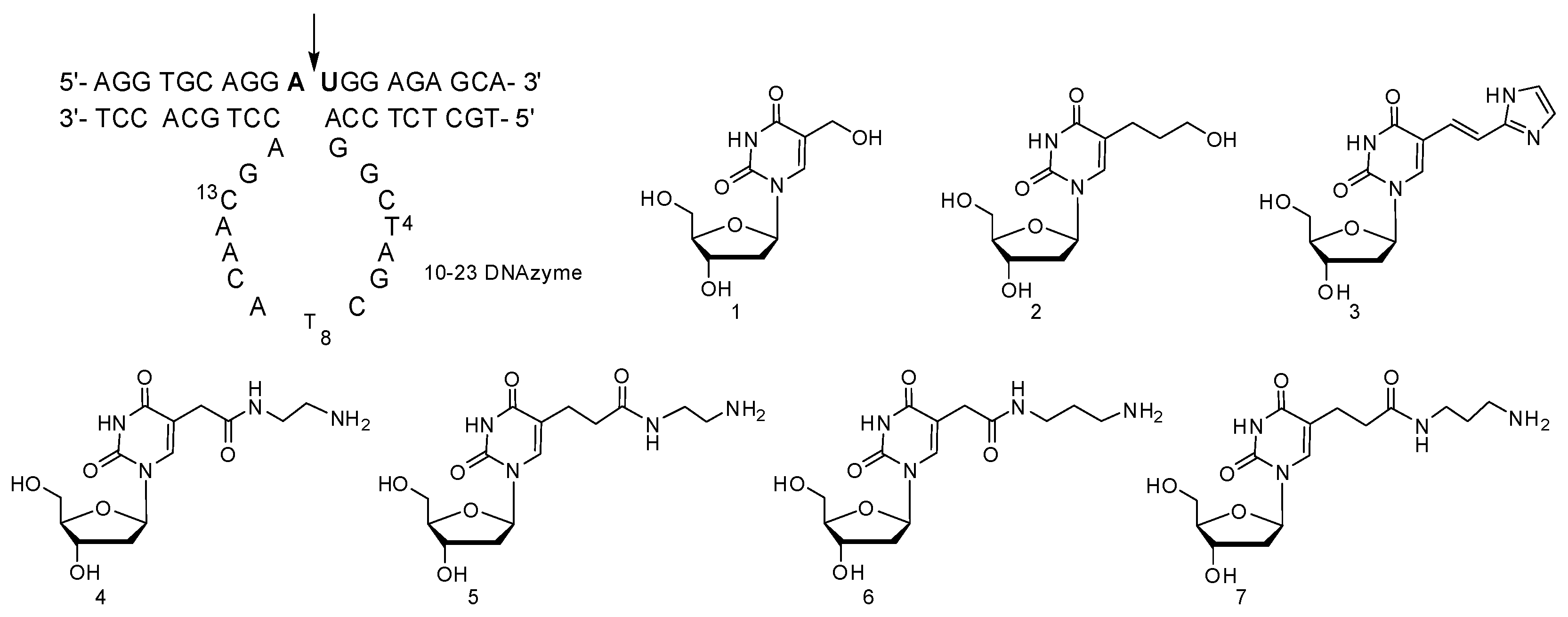 Molecules 22 01011 sch001