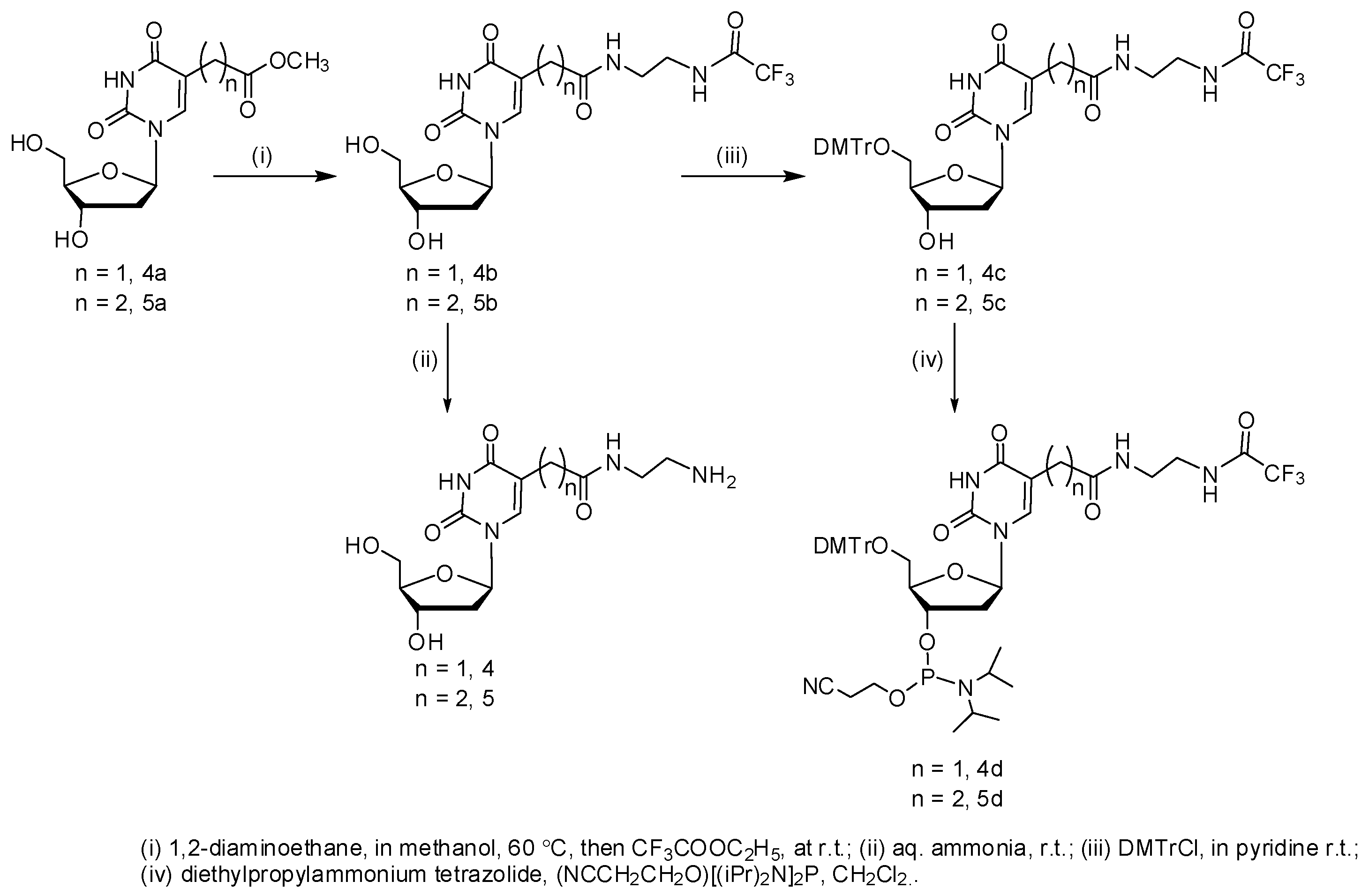 Molecules 22 01011 sch002