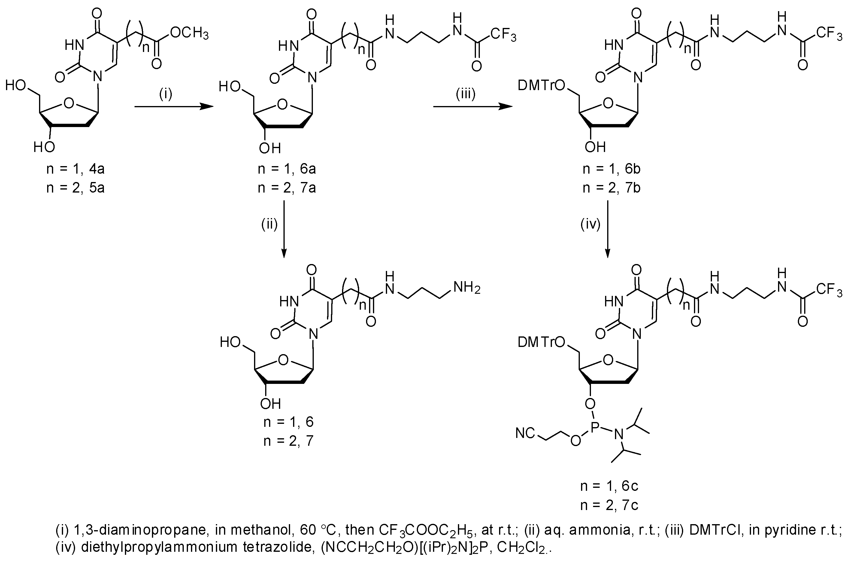Molecules 22 01011 sch003
