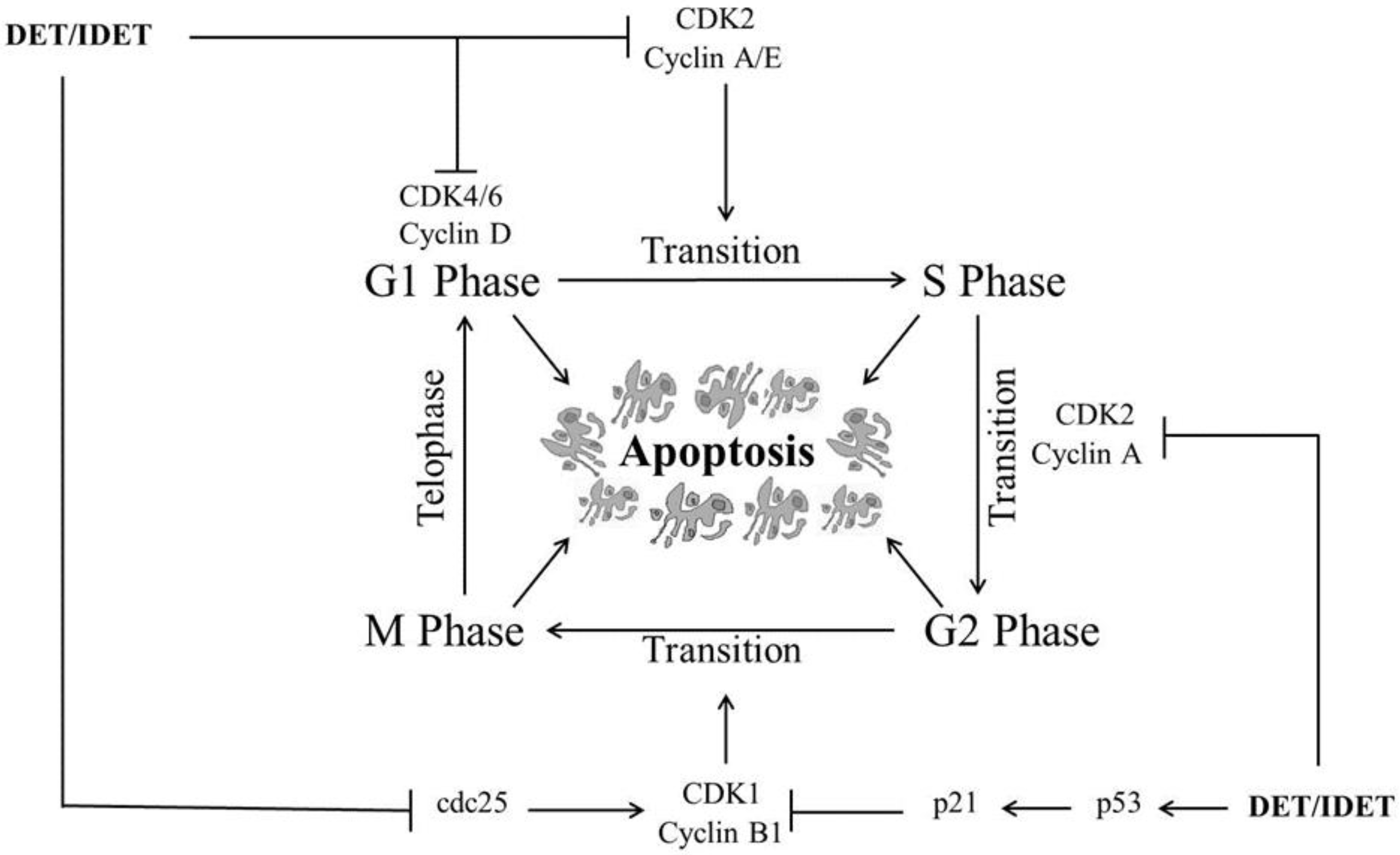 Molecules 22 01013 g002