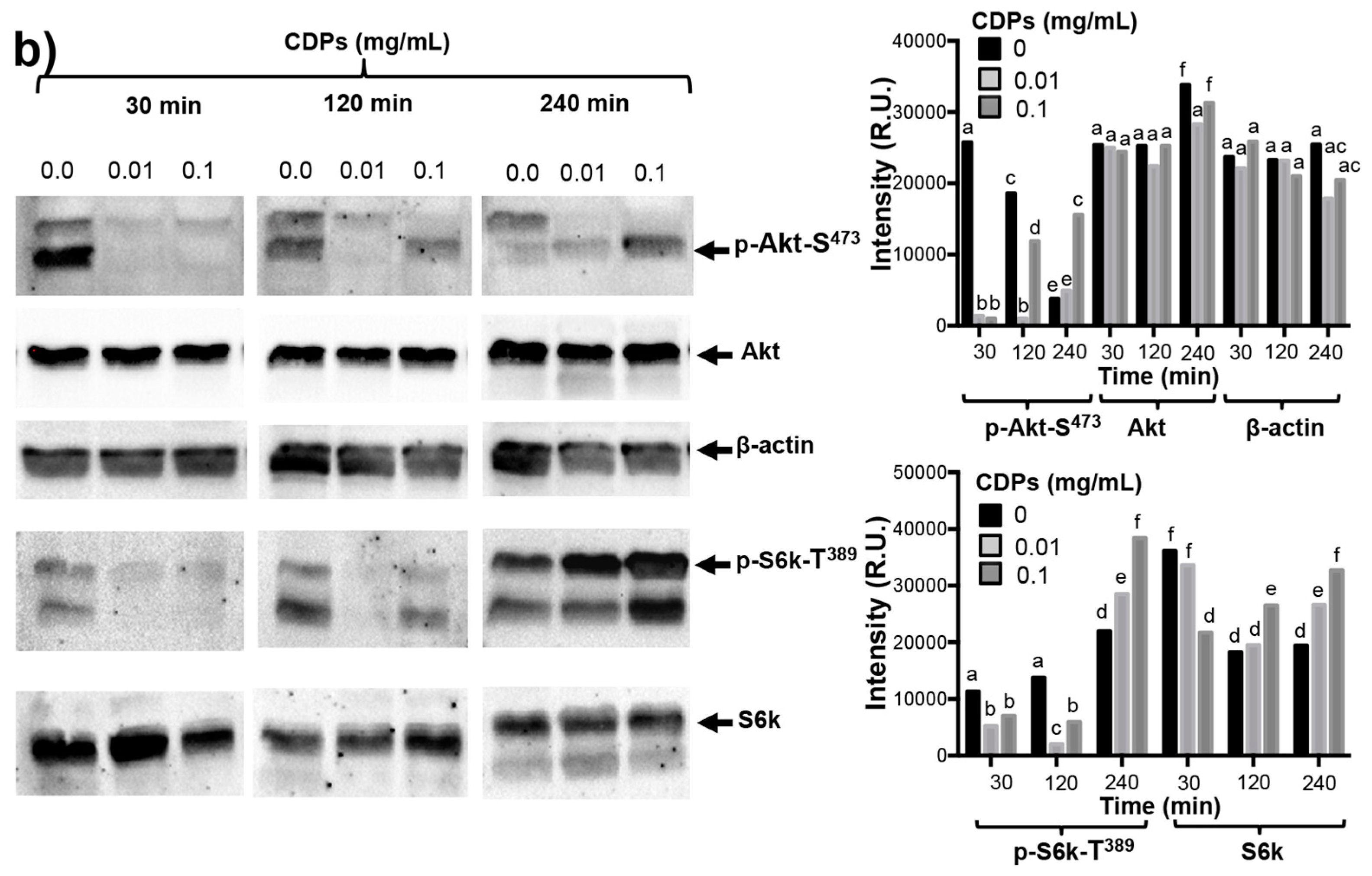 Molecules 22 01024 g005b