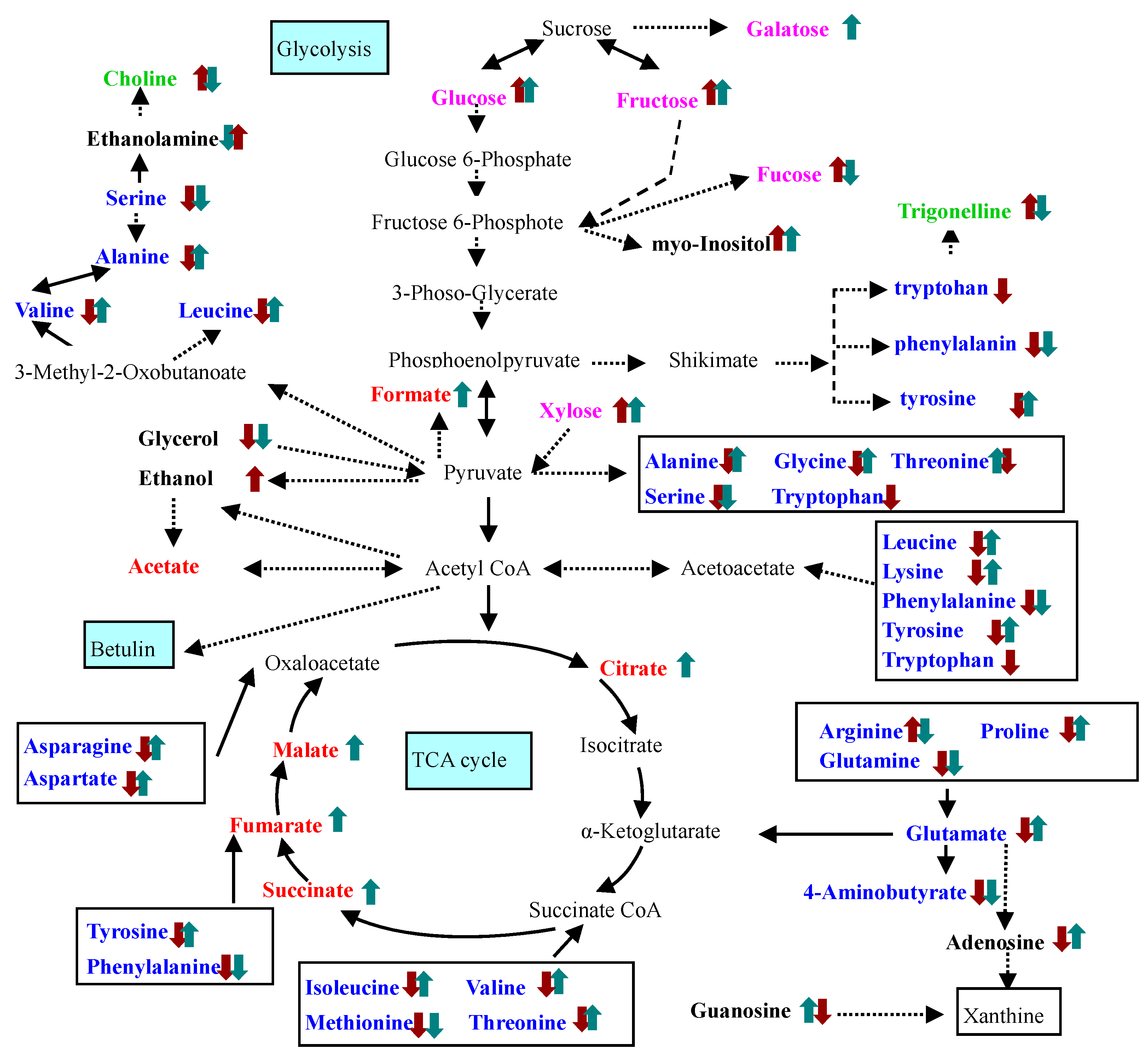 Molecules 22 01035 g002