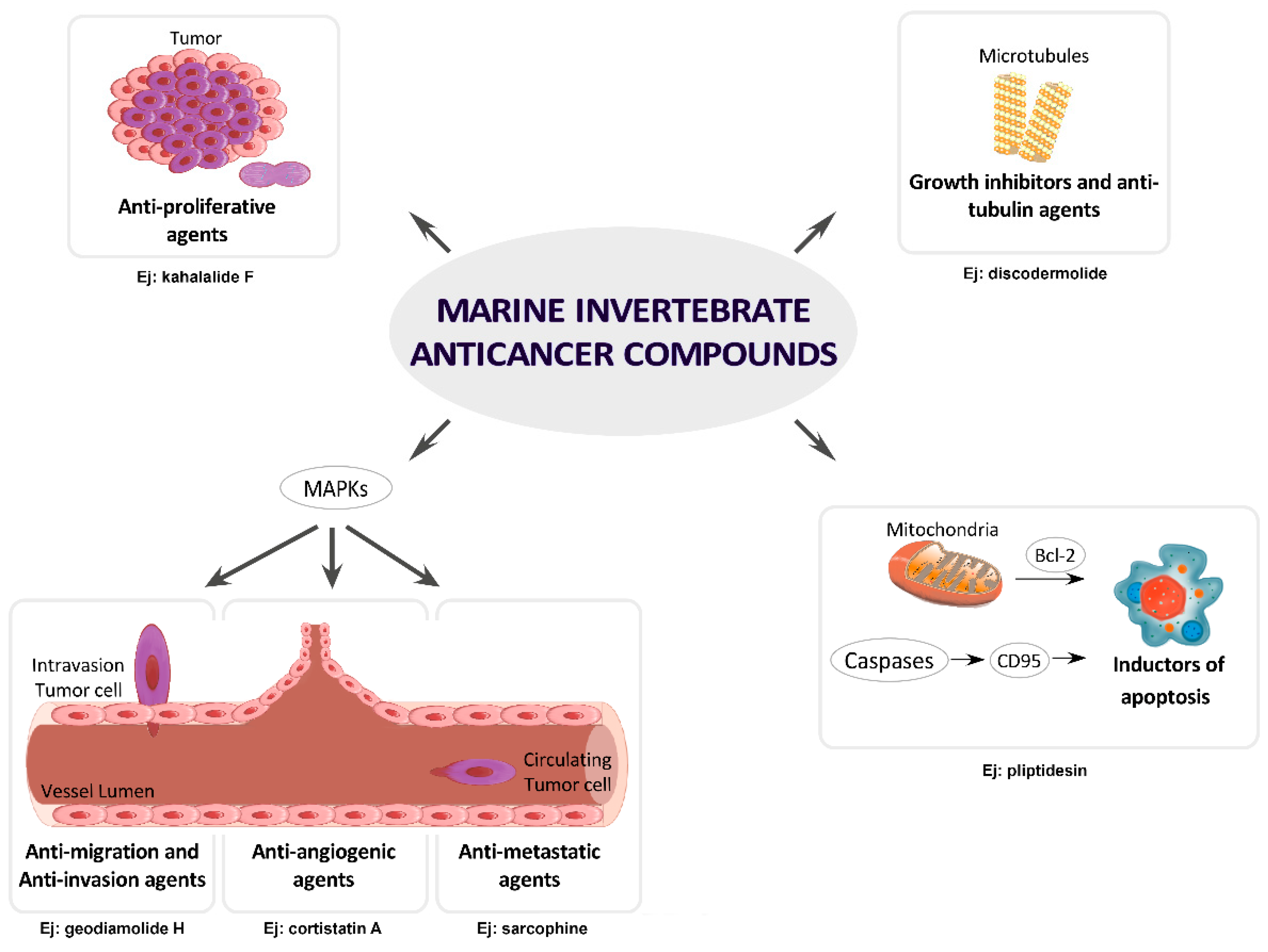 Molecules 22 01037 g003