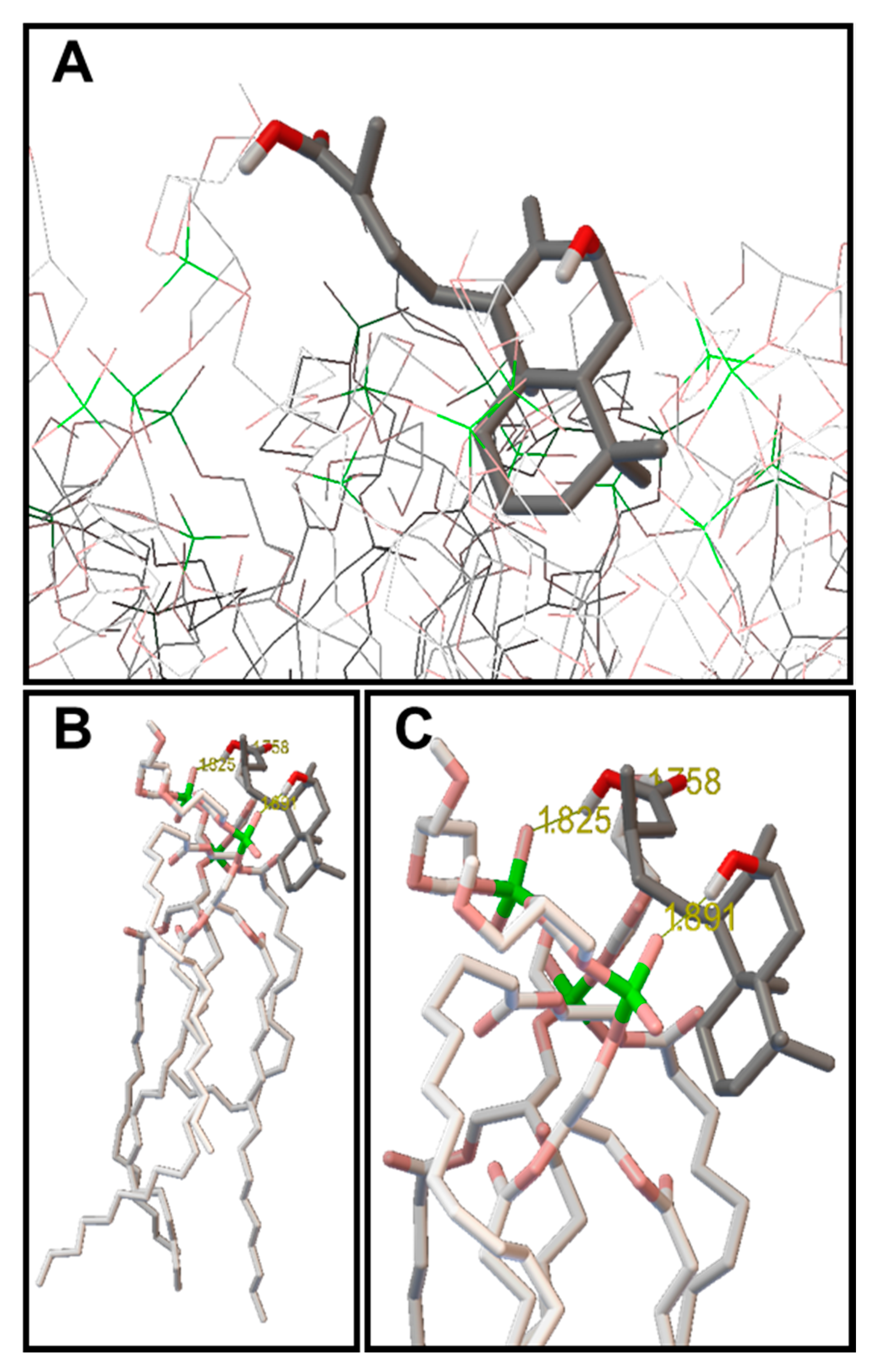 Molecules 22 01039 g002