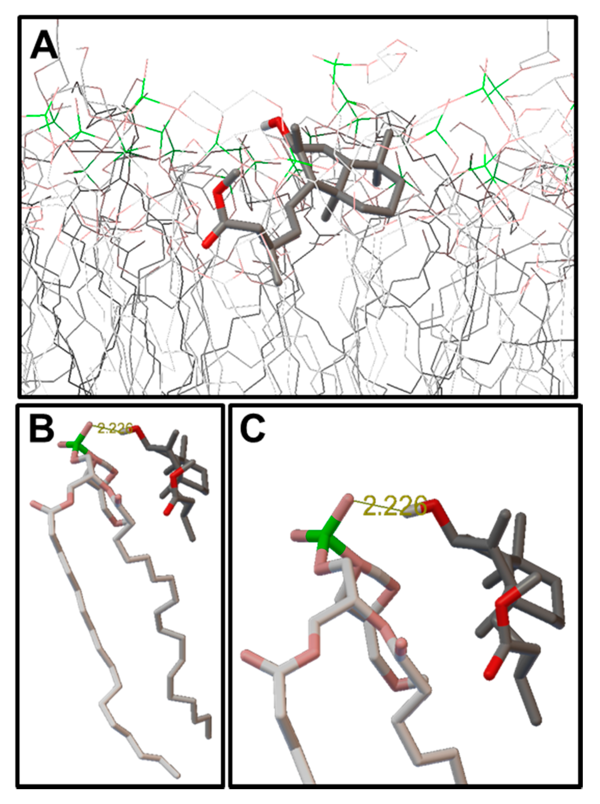 Molecules 22 01039 g004