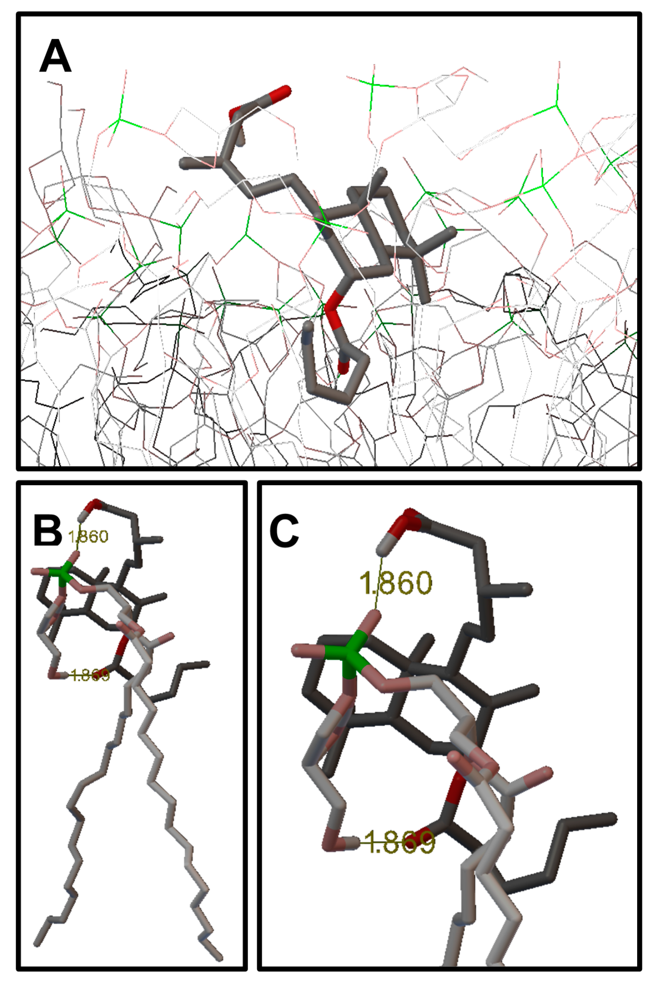 Molecules 22 01039 g005