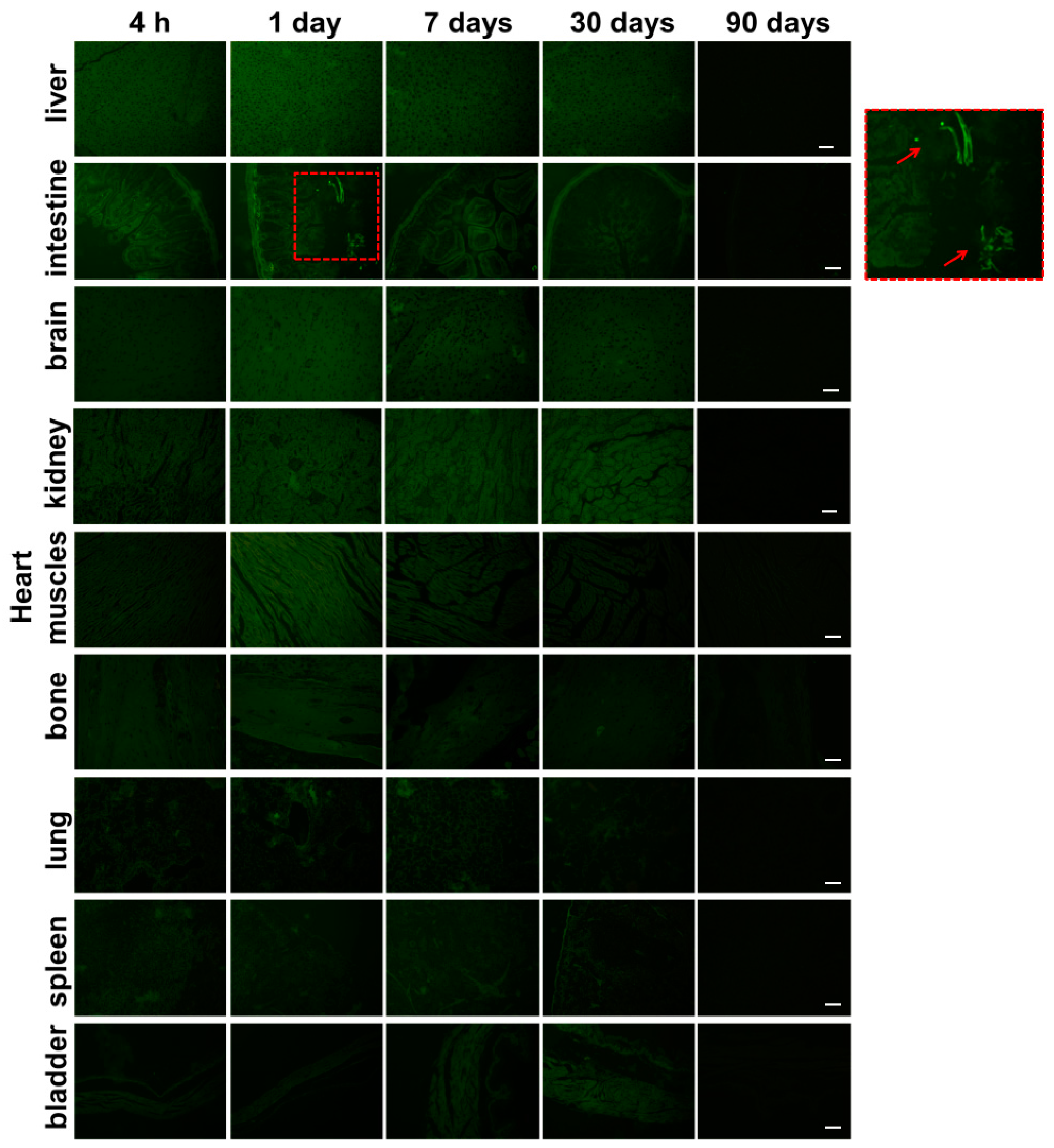 Molecules 22 01043 g003