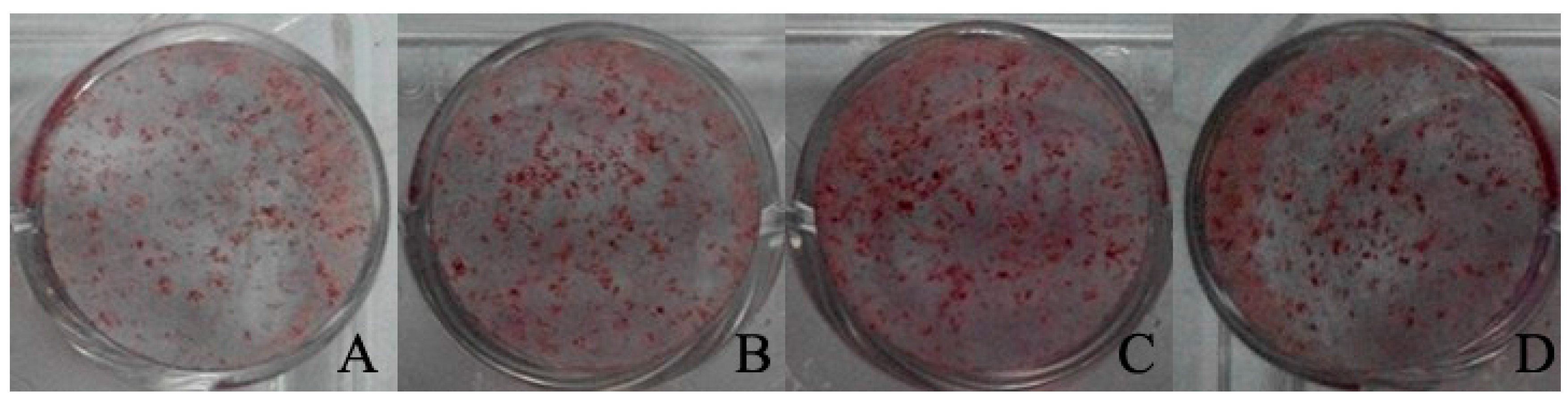 Molecules 22 01044 g006