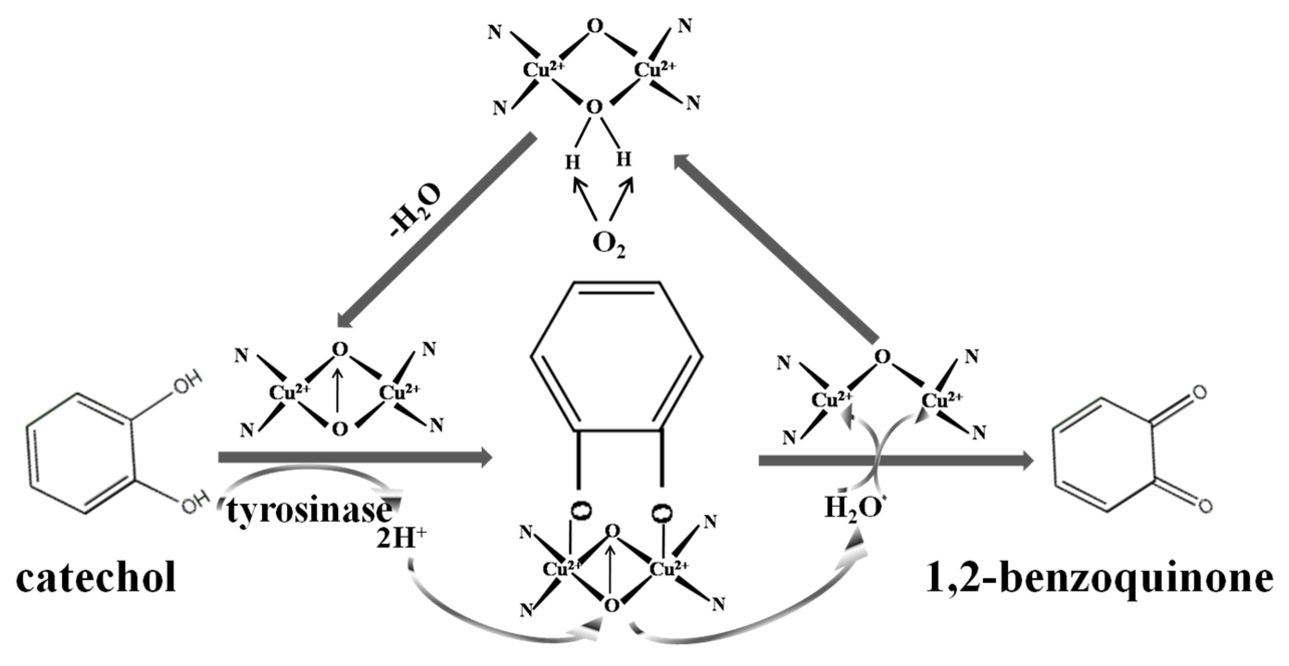 Molecules 22 01047 sch002