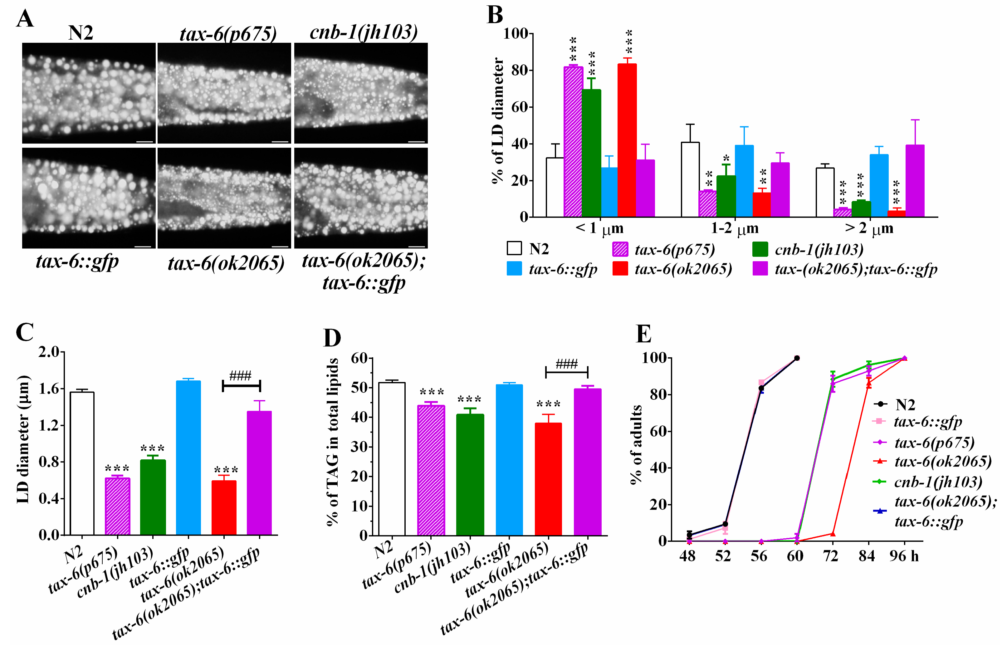 Molecules 22 01062 g001