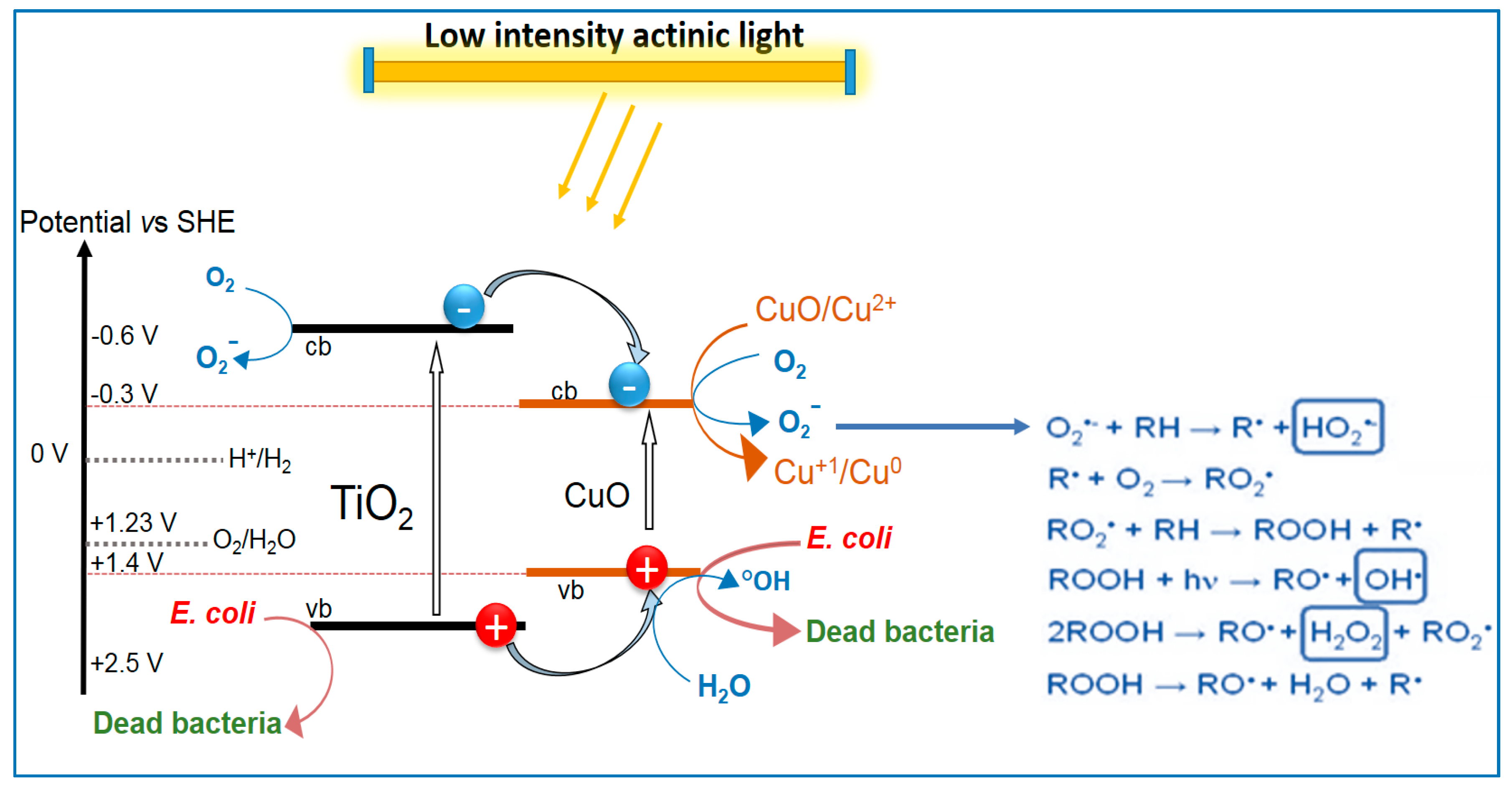 Molecules 22 01074 g003