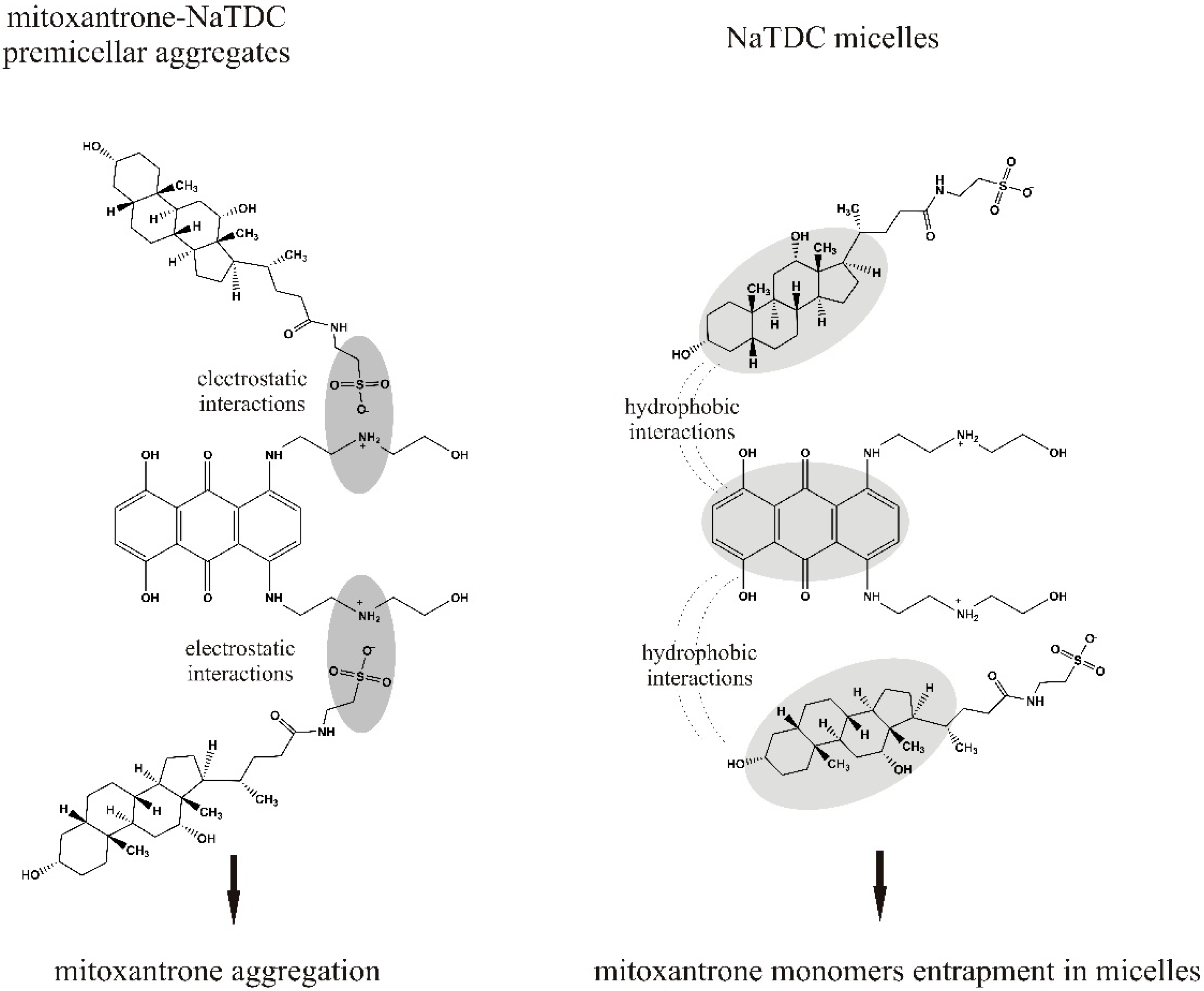 Molecules 22 01079 g009